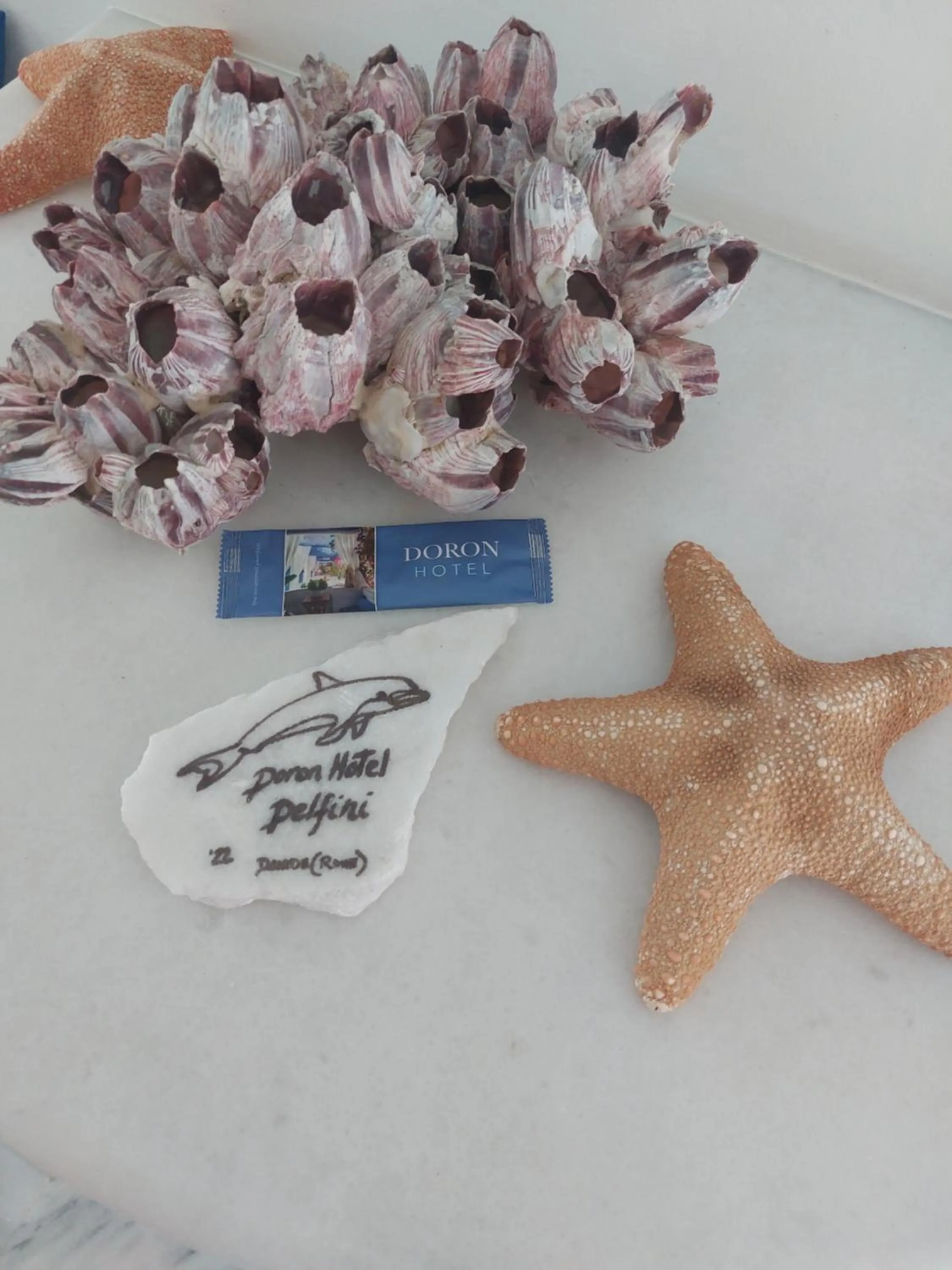 Decorative detail in Doron Hotel Delfini