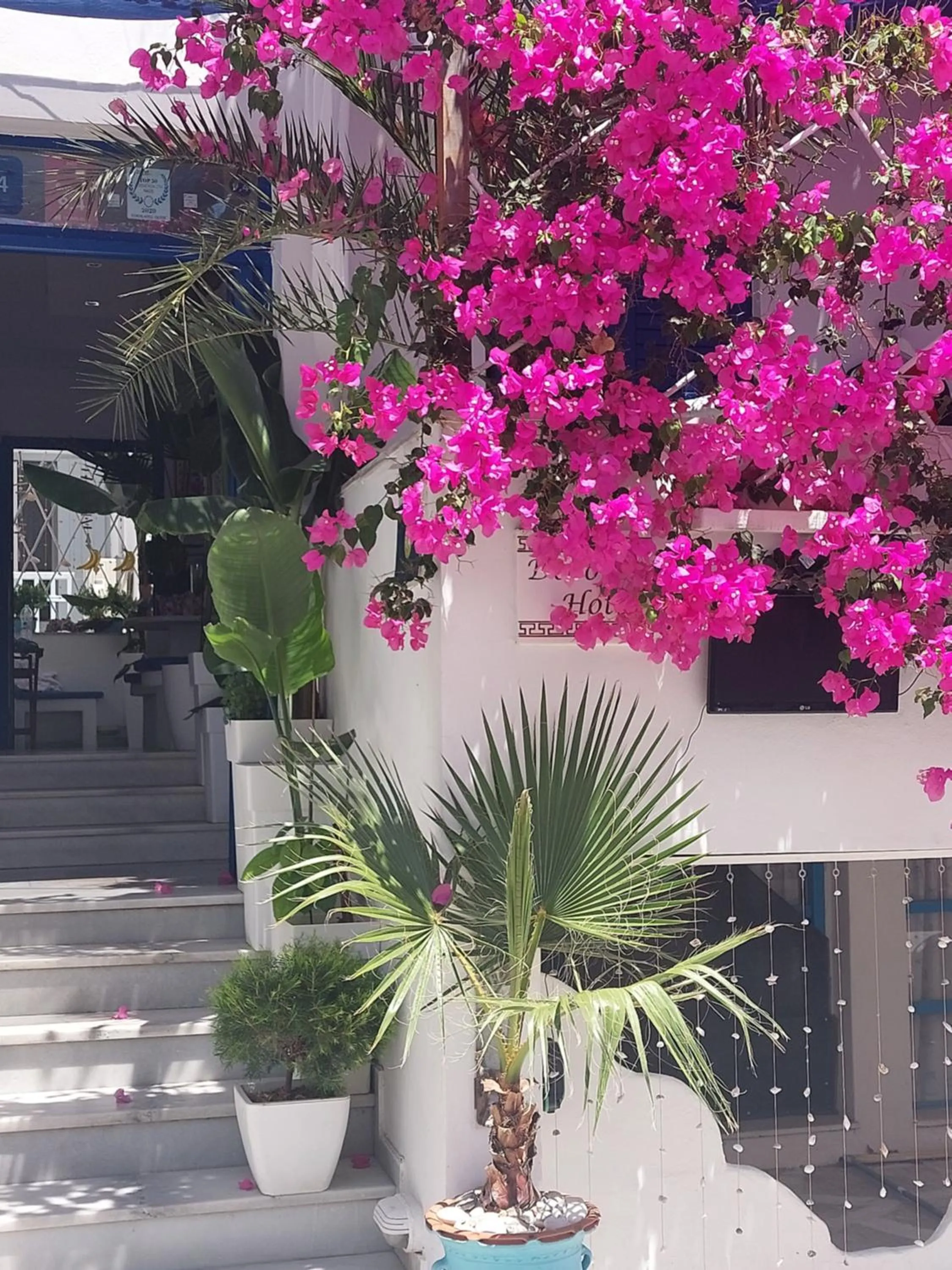 Facade/entrance in Doron Hotel Delfini