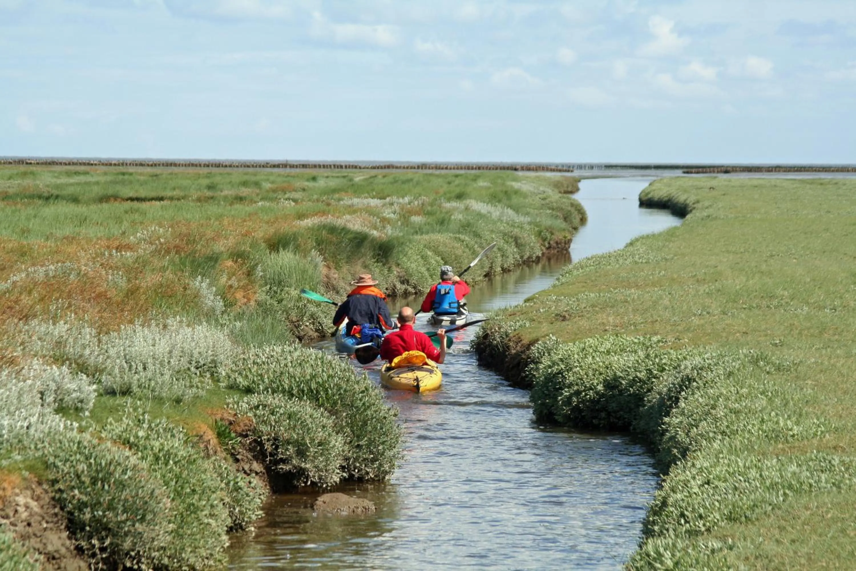 Canoeing in Waddenhoes Gastenverblijven