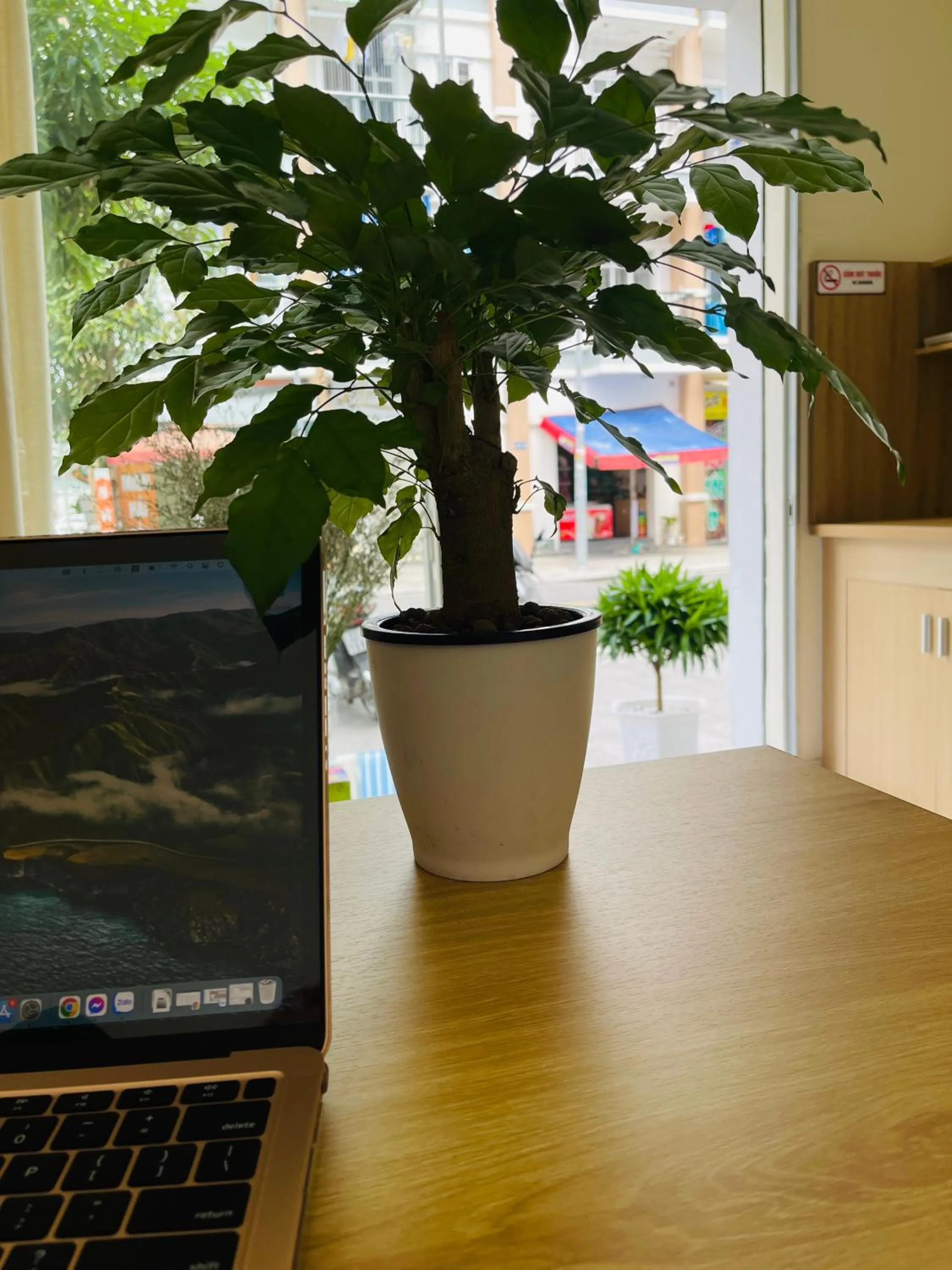 Communal lounge/ TV room in Basic Guest House Hải Phòng