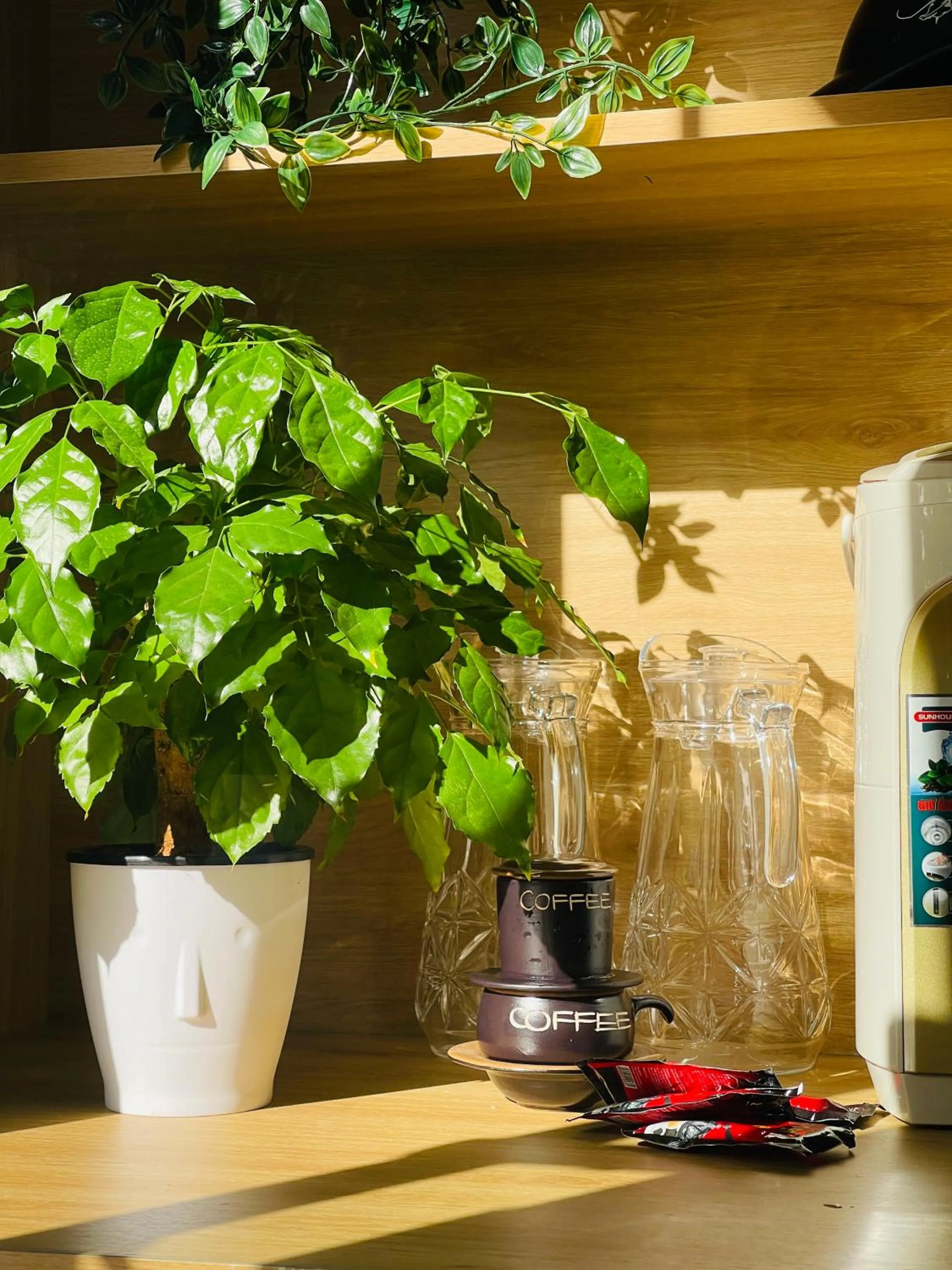 Basic Guest House Hải Phòng