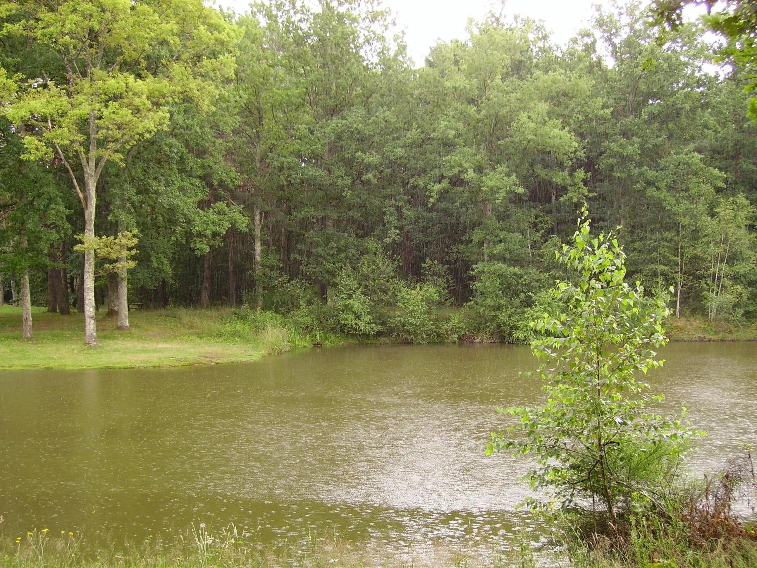 Lake view in Au Grand Pré