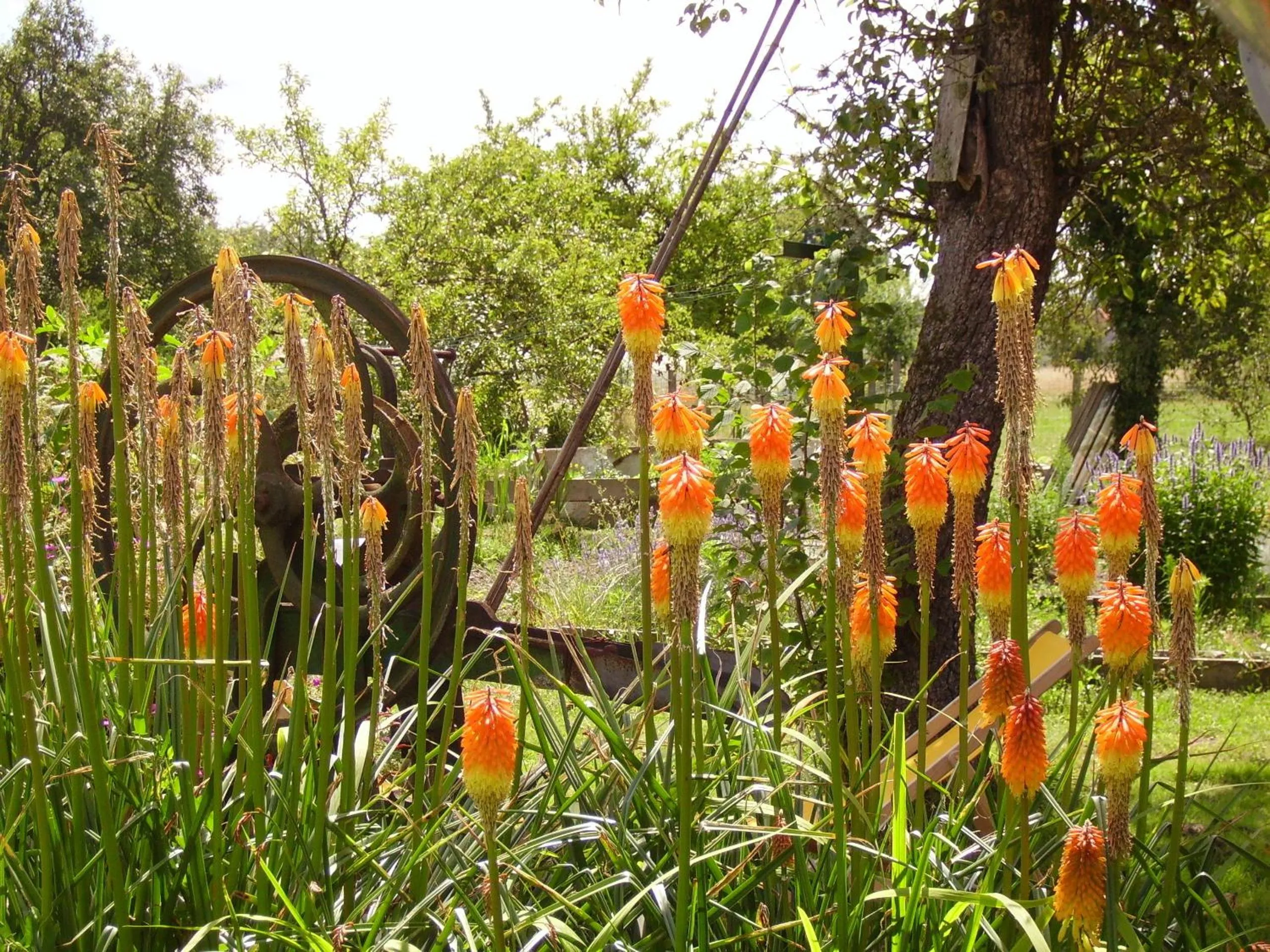 Natural landscape in Au Grand Pré