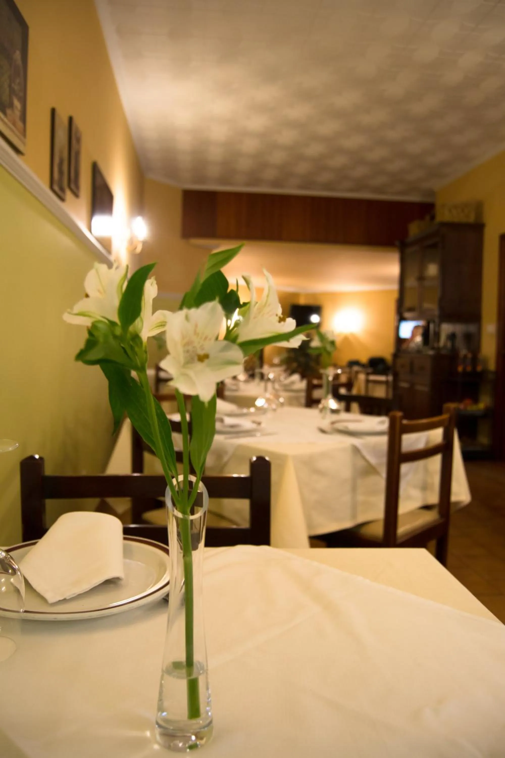 Restaurant/places to eat in Hotel Brisa