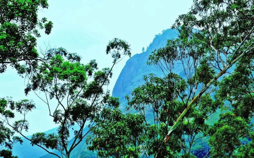 Spring in Ella Rock Heaven