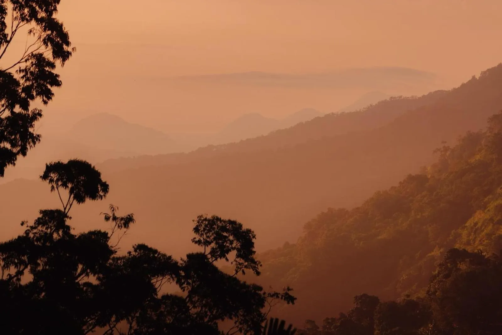 Mountain view in Ella Rock Heaven