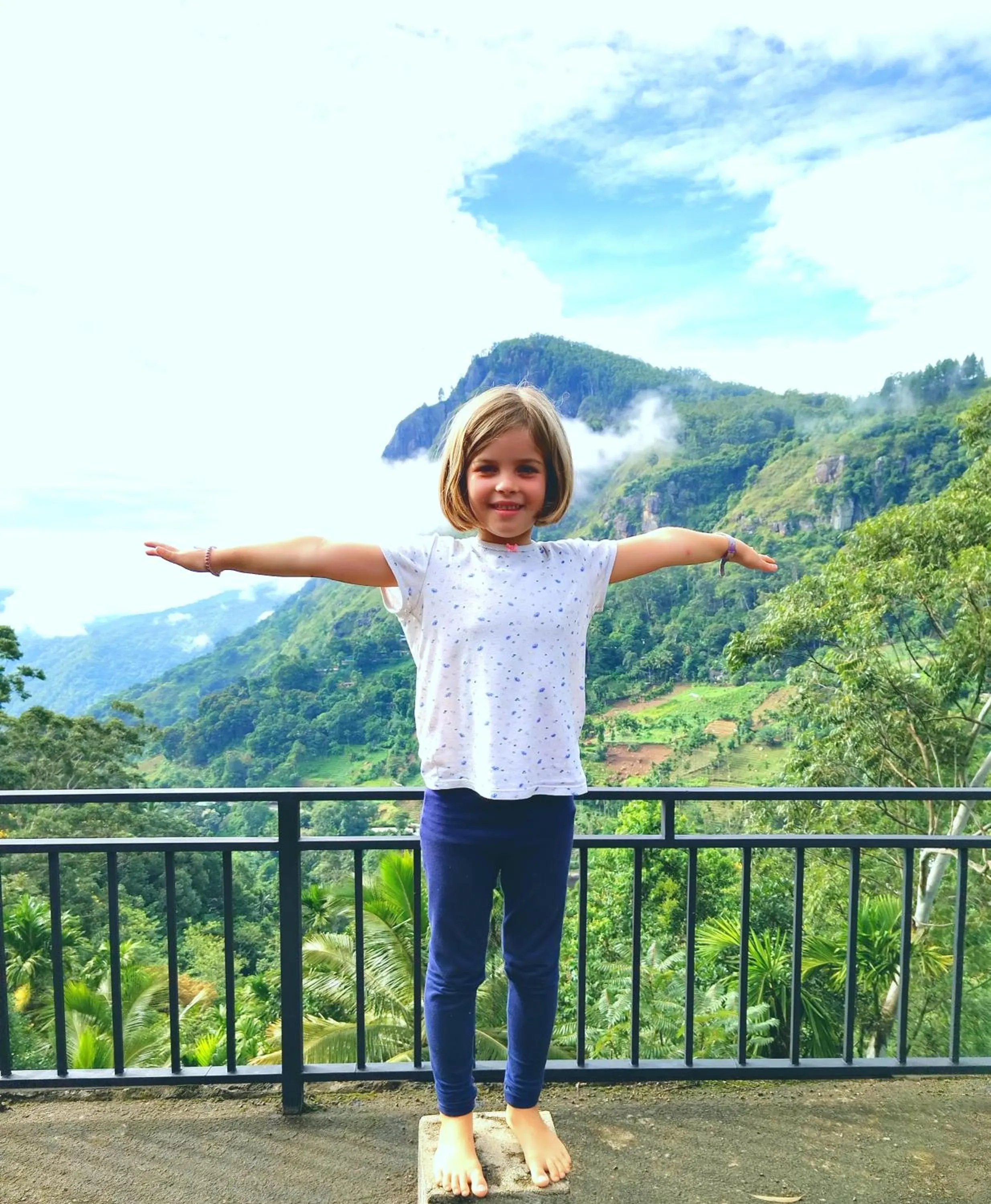 Garden in Ella Rock Heaven