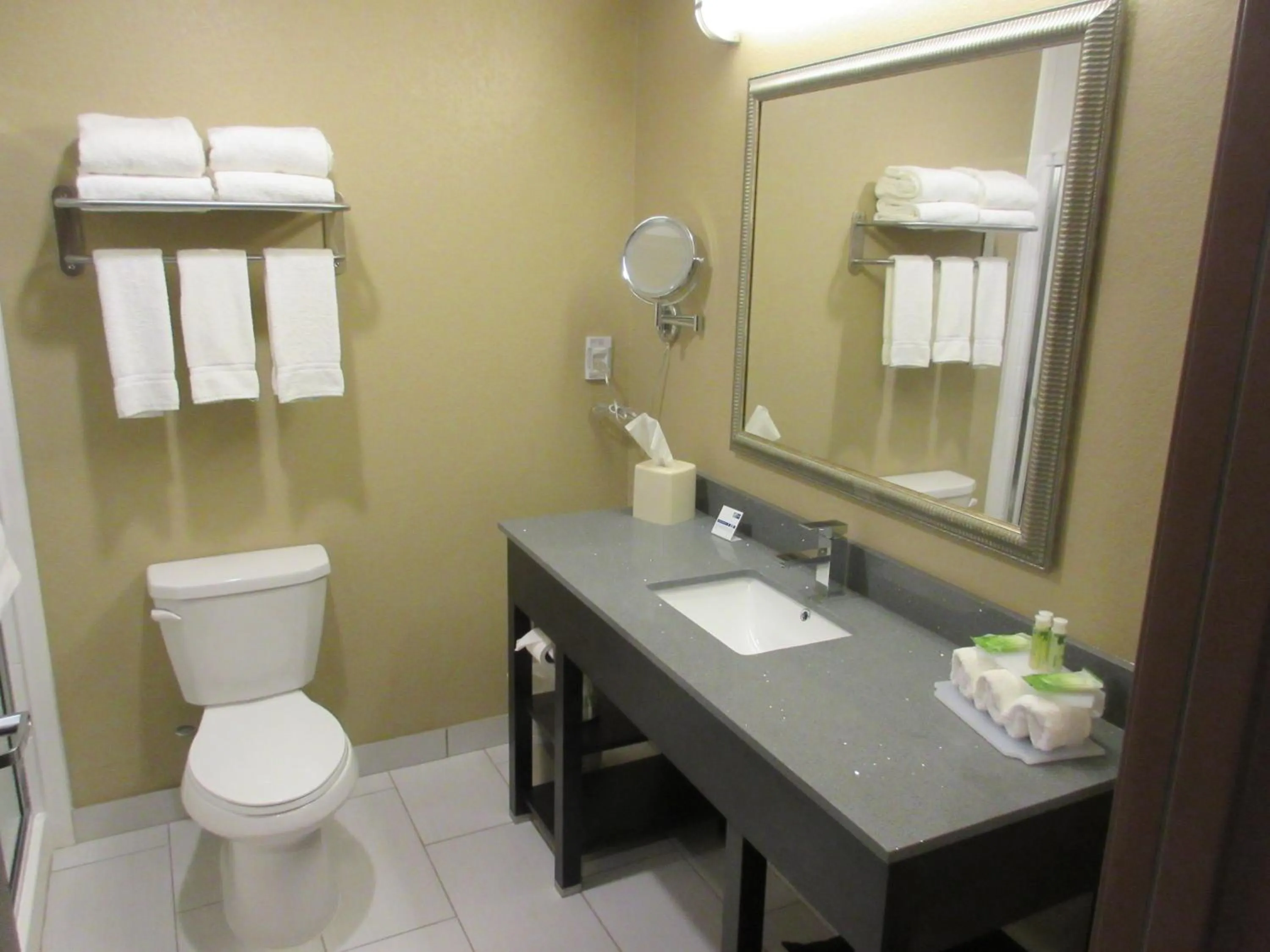 Bathroom in Holiday Inn Express & Suites Butler by IHG