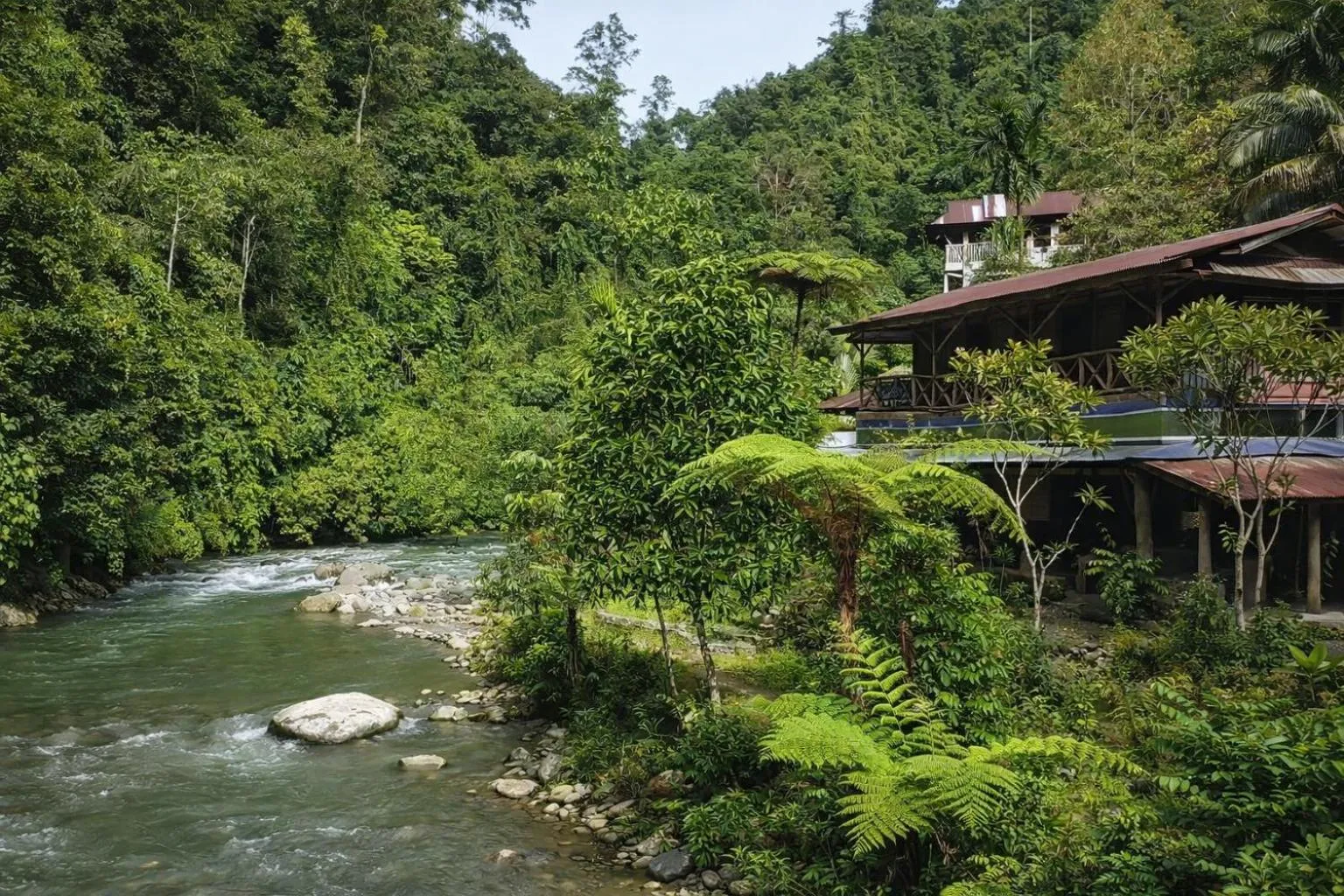 Property building in Back to Nature Ecotourism