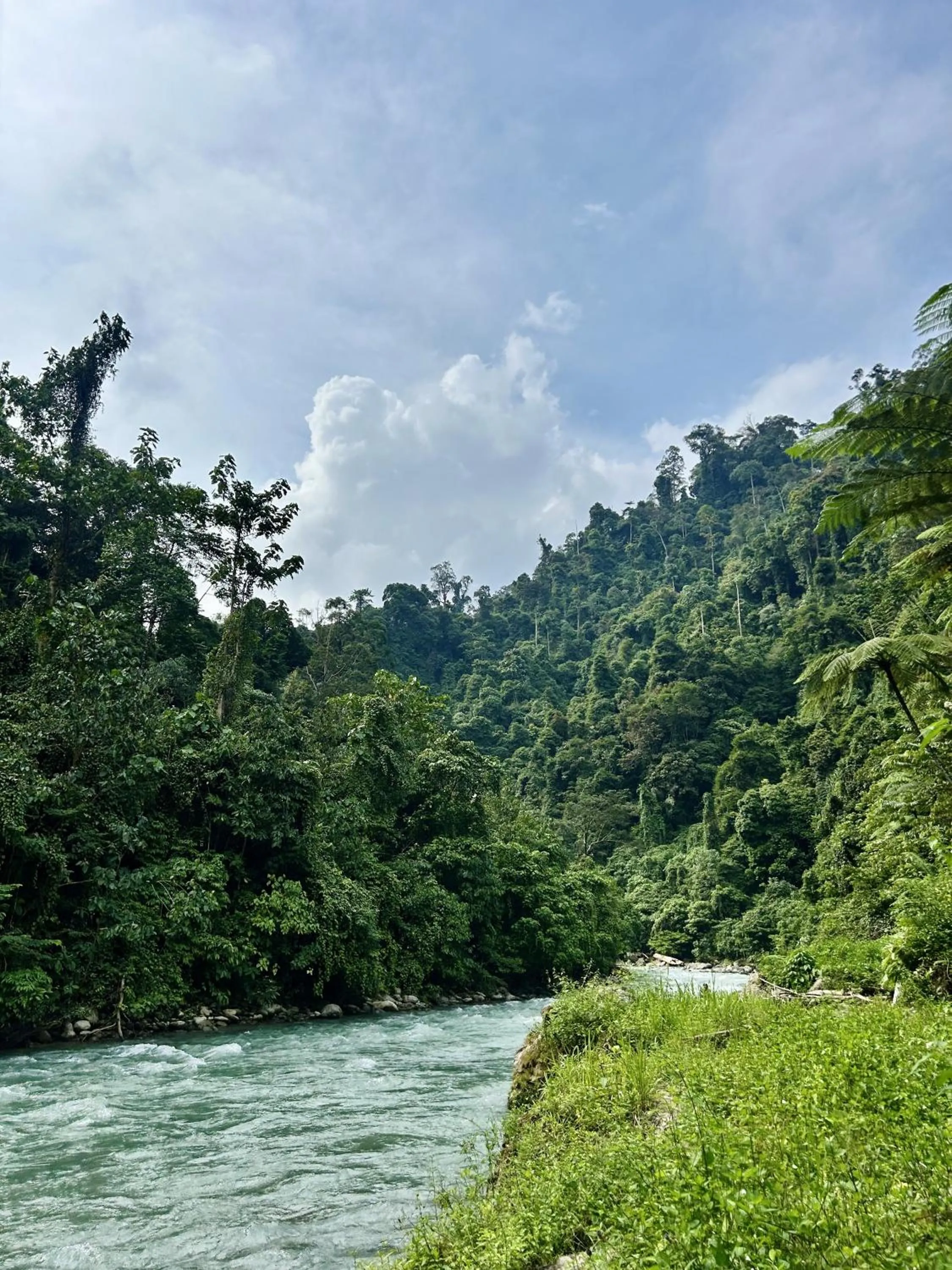 Natural landscape in Back to Nature Ecotourism