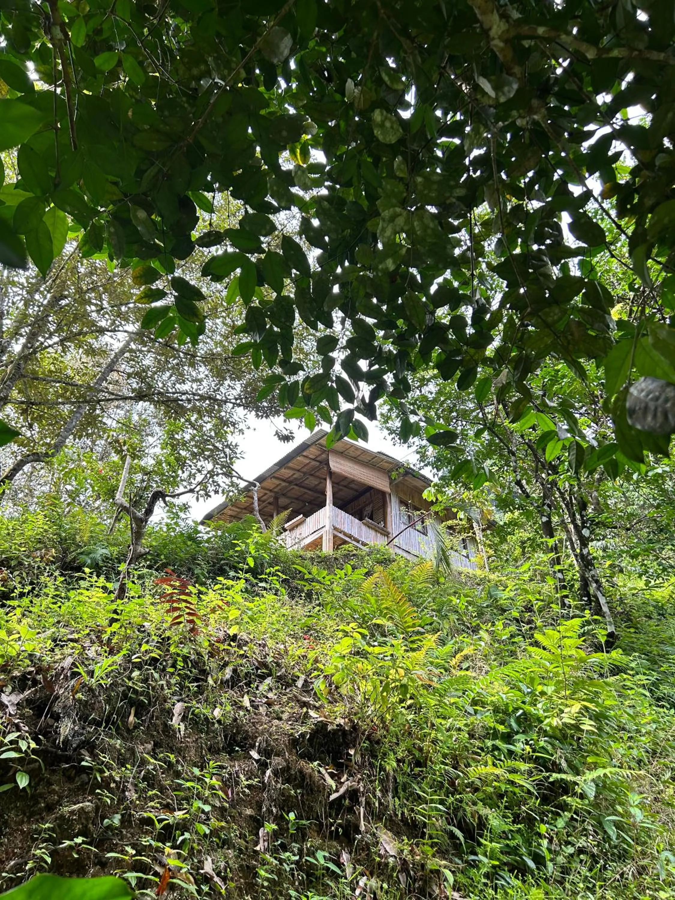 Property building in Back to Nature Ecotourism