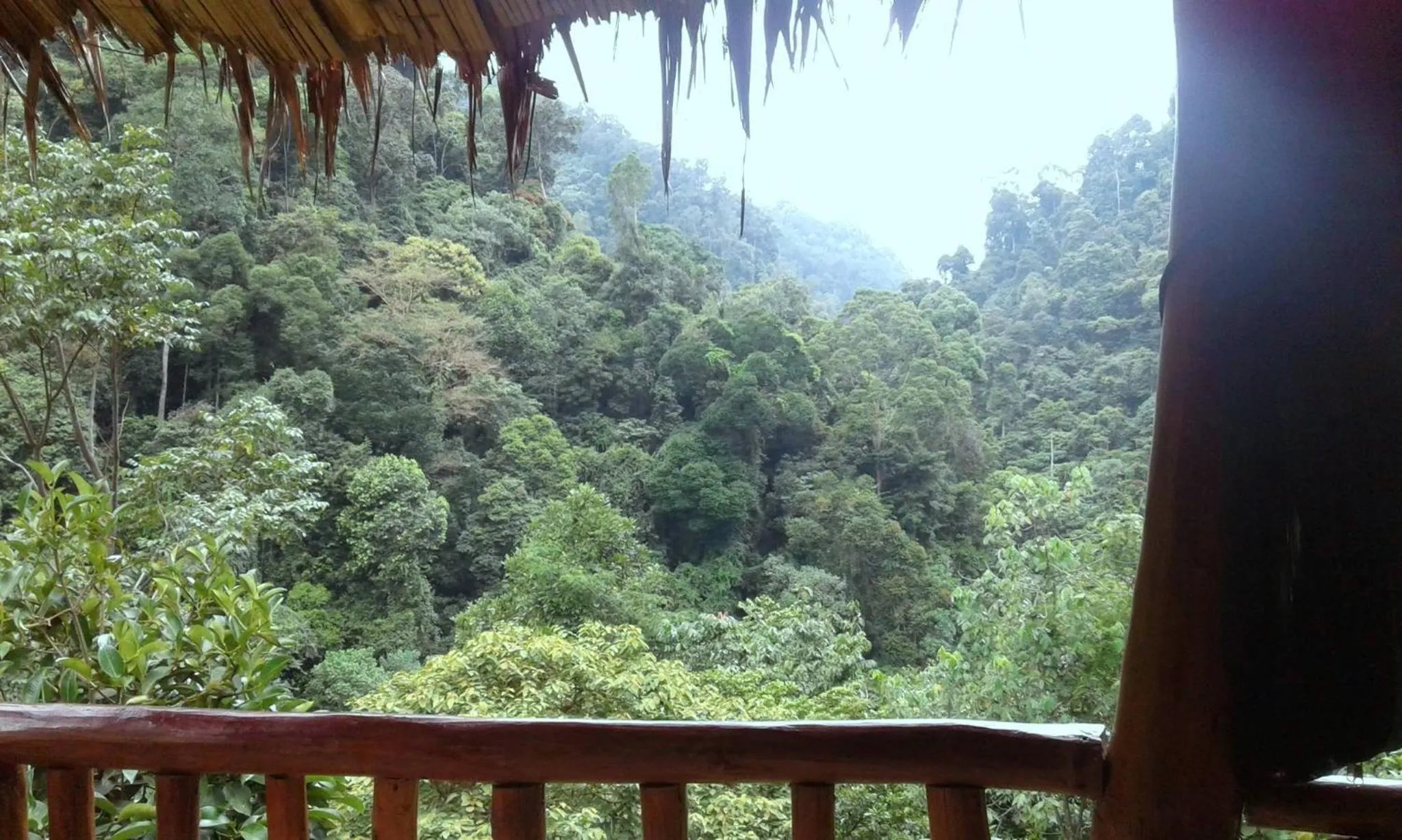 Natural landscape in Back to Nature Ecotourism