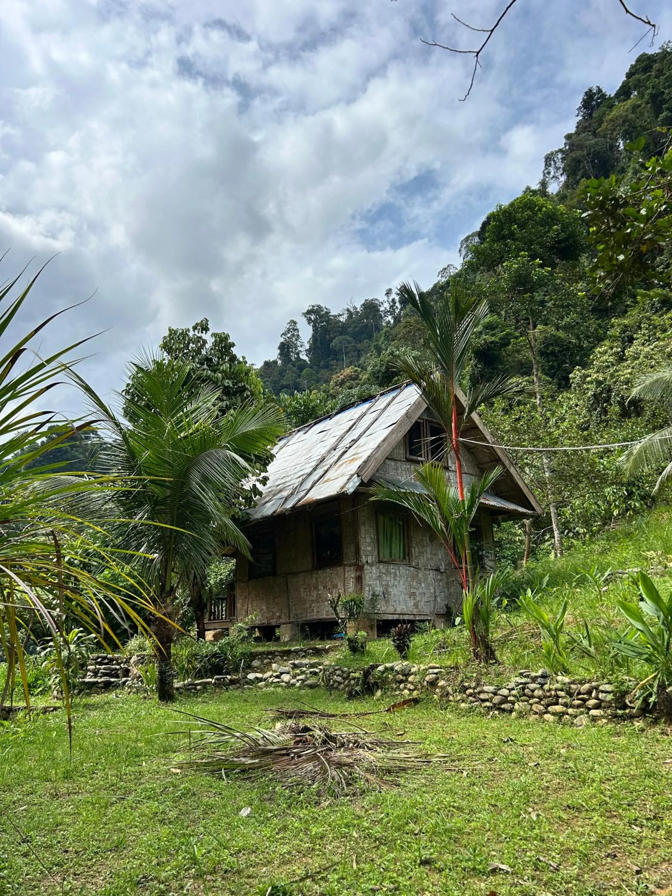 Property building in Back to Nature Ecotourism