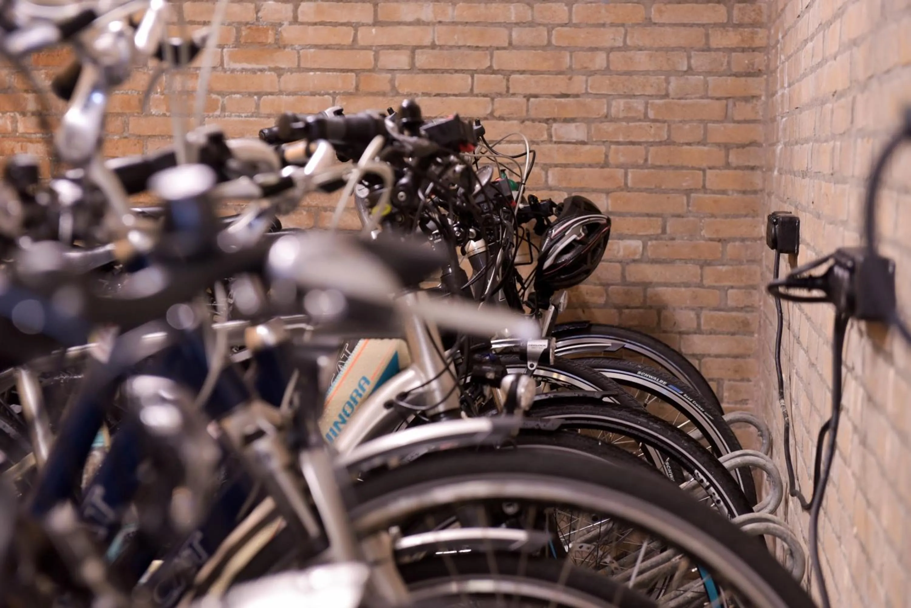 Cycling in Hotel Noordzee