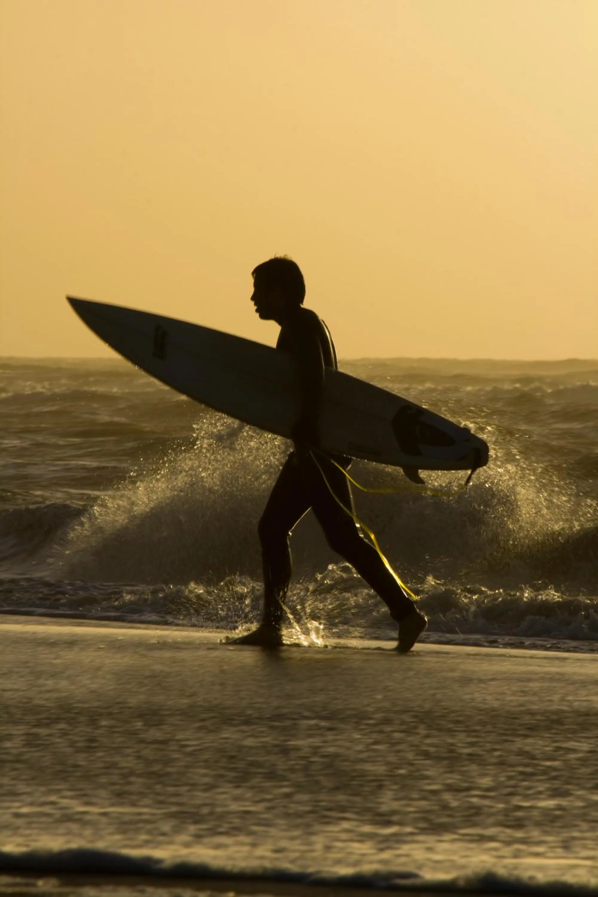Beach in Hotel Noordzee