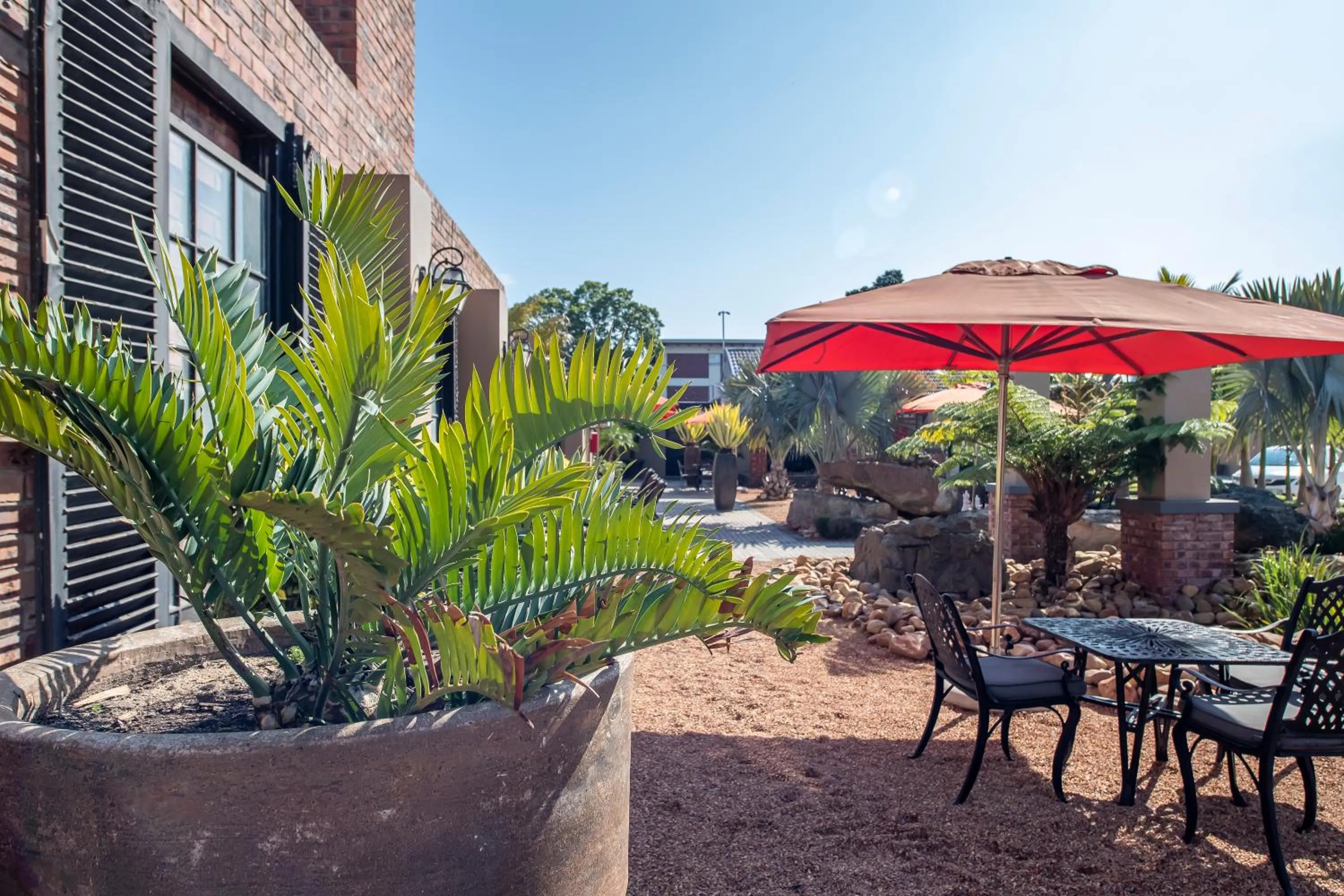 Garden in Excellent Guest House