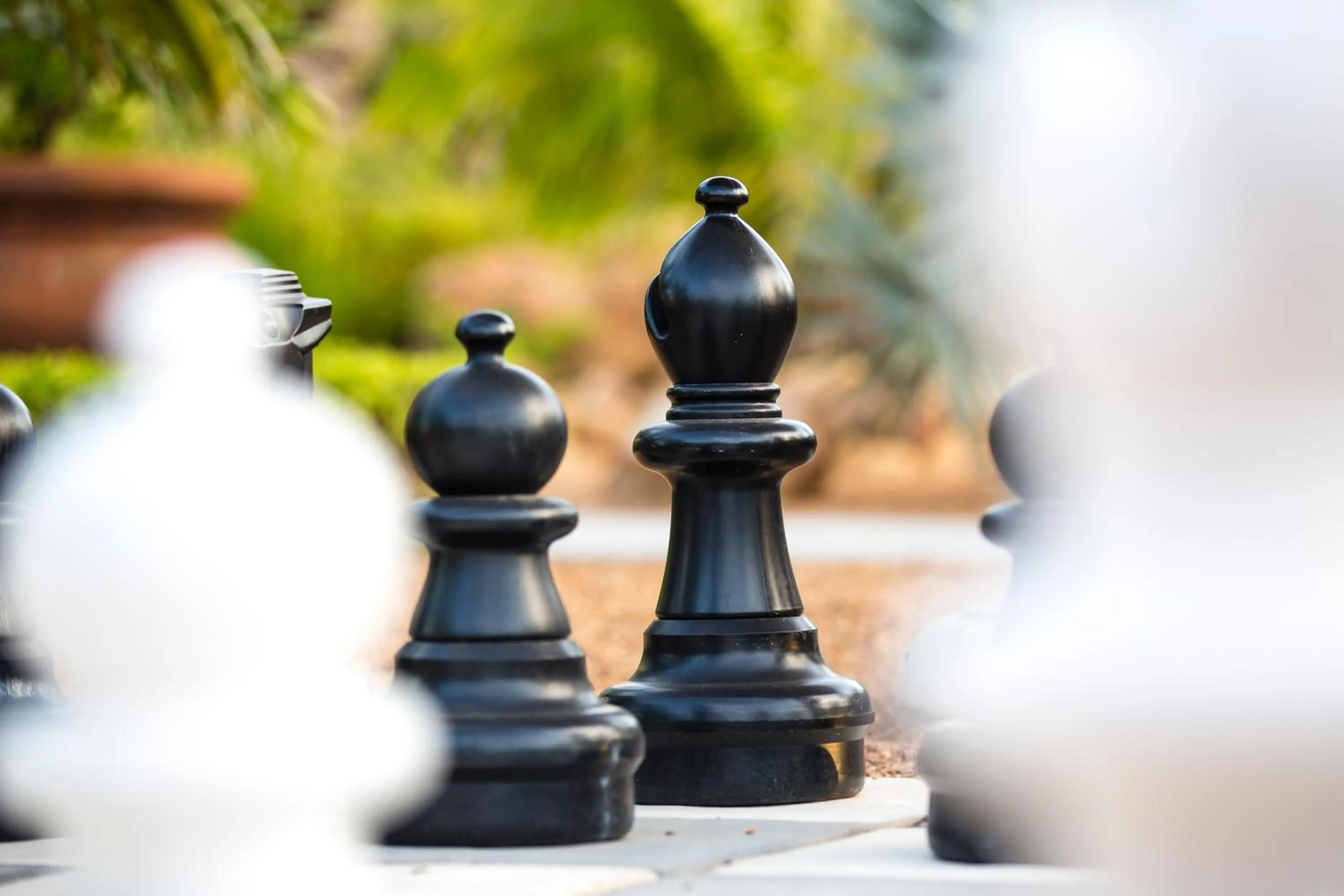 Garden in Excellent Guest House