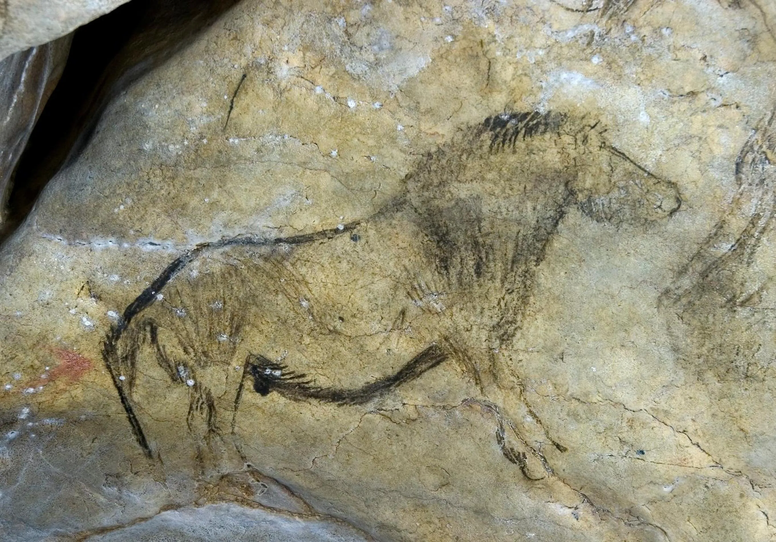 Area and facilities in Hôtel Terranostra