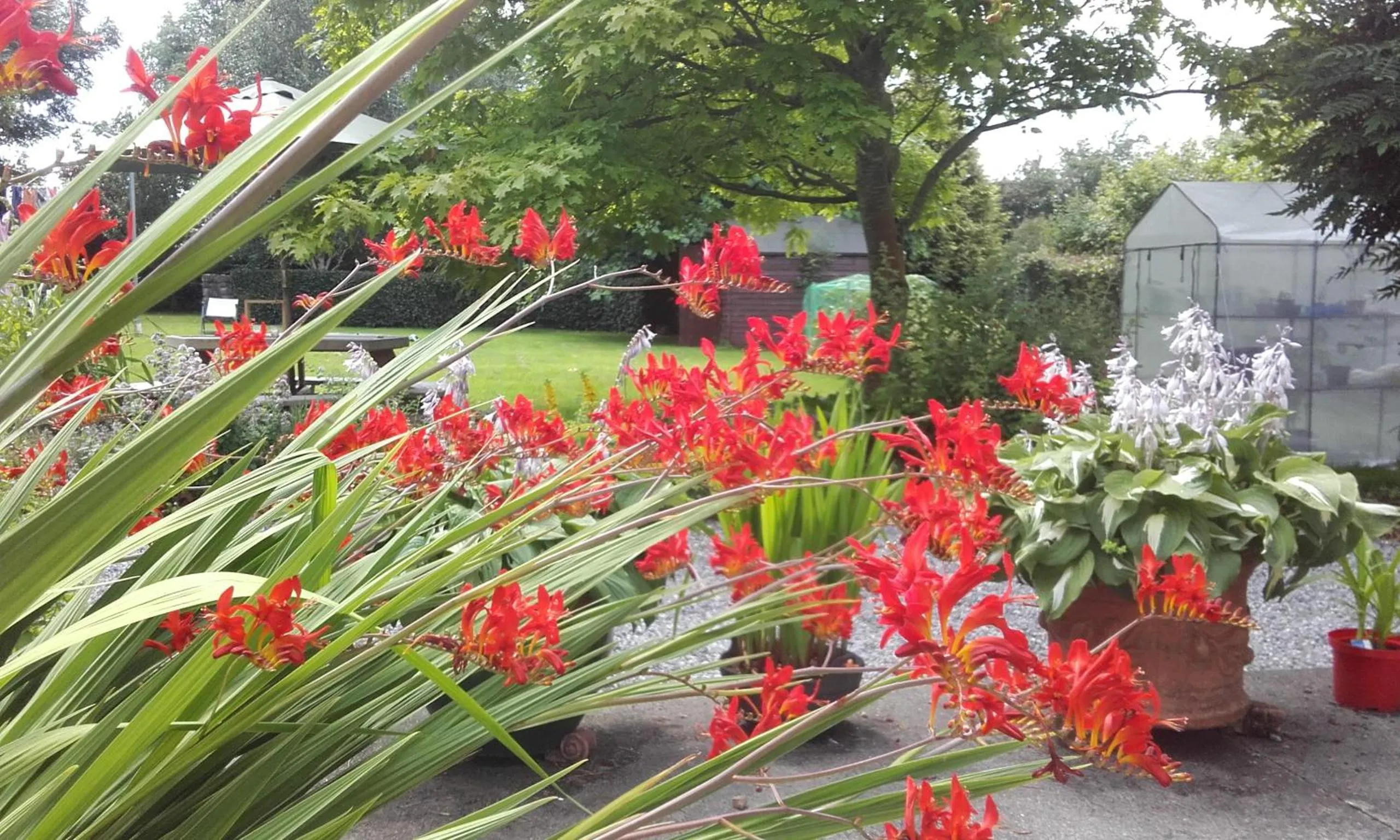 Garden view in Twin Oaks Bed & Breakfast