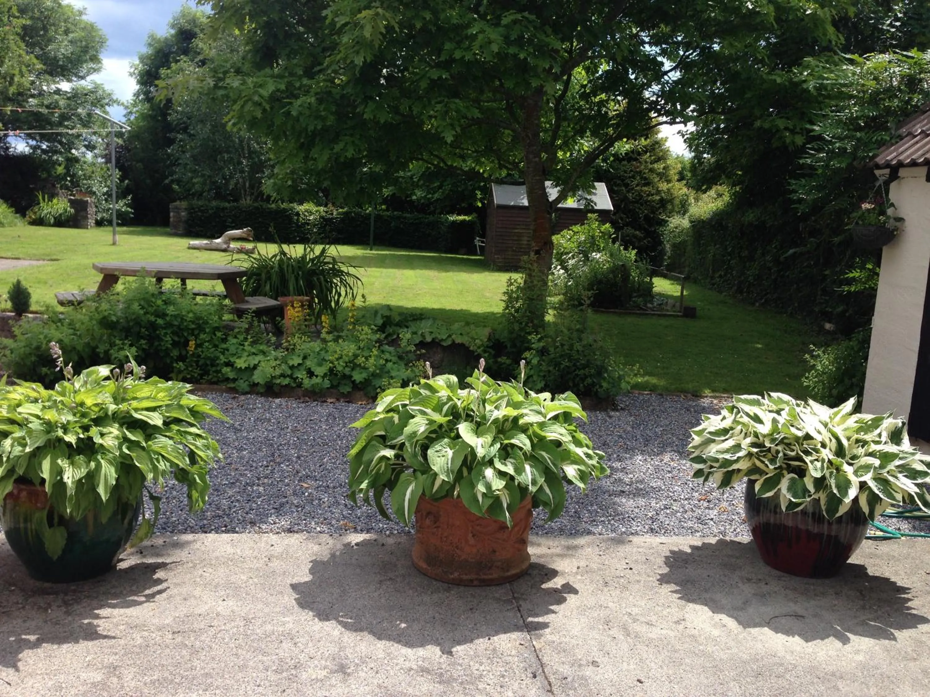 Summer in Twin Oaks Bed & Breakfast