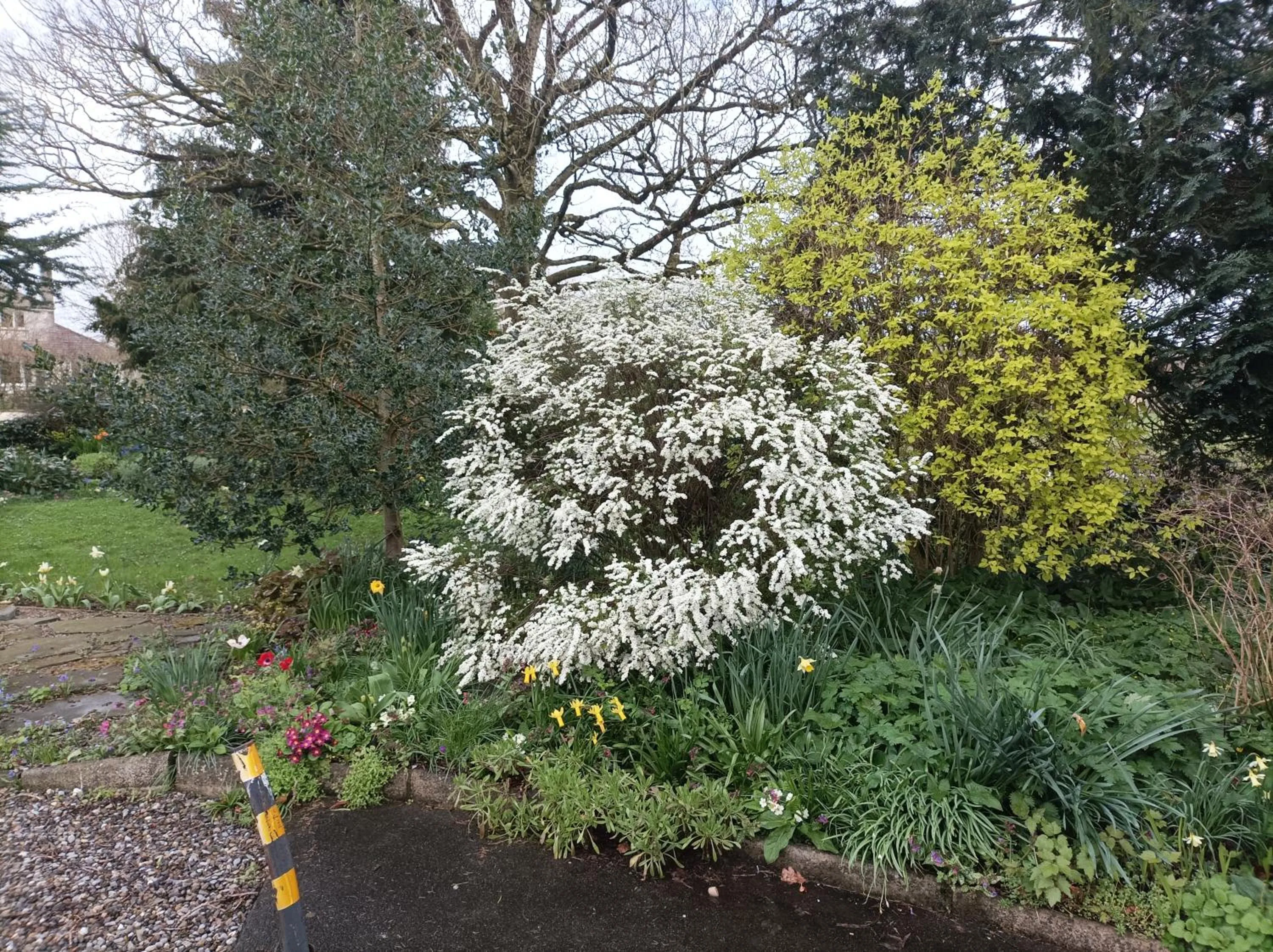 Spring in Twin Oaks Bed & Breakfast