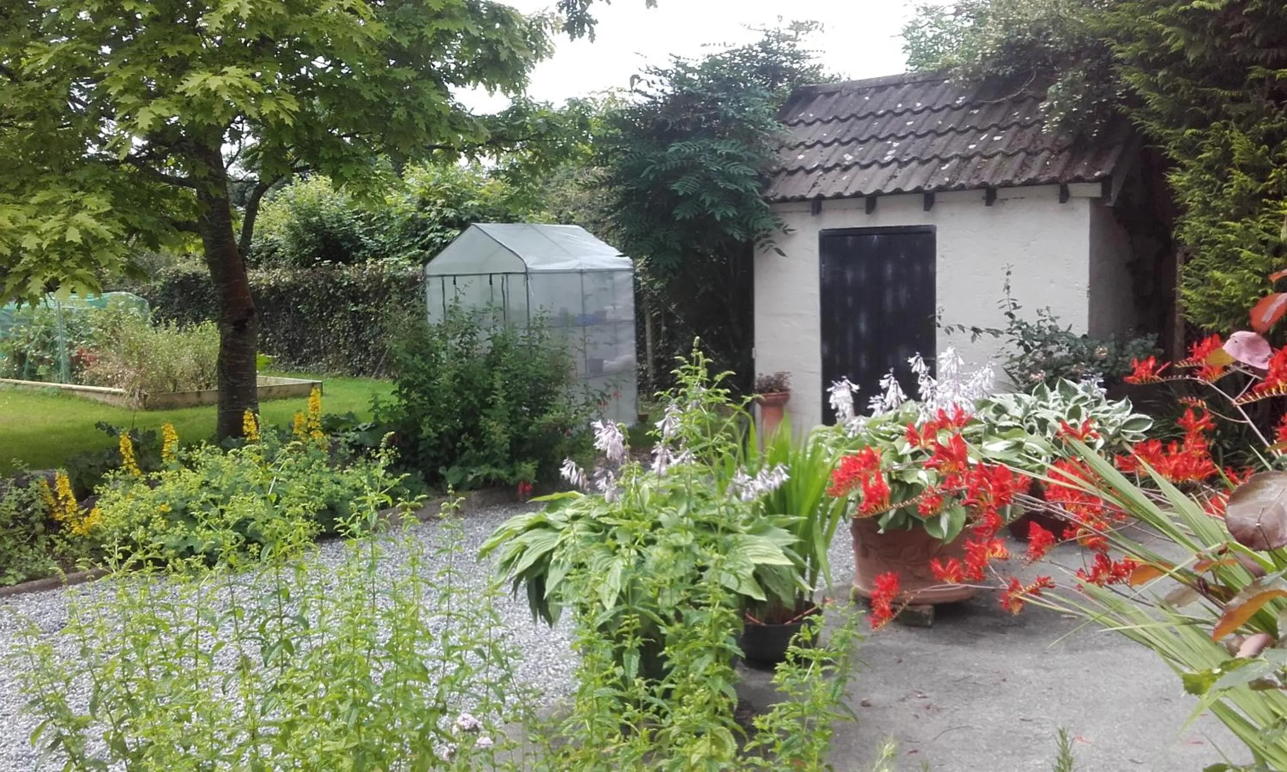 Garden view in Twin Oaks Bed & Breakfast