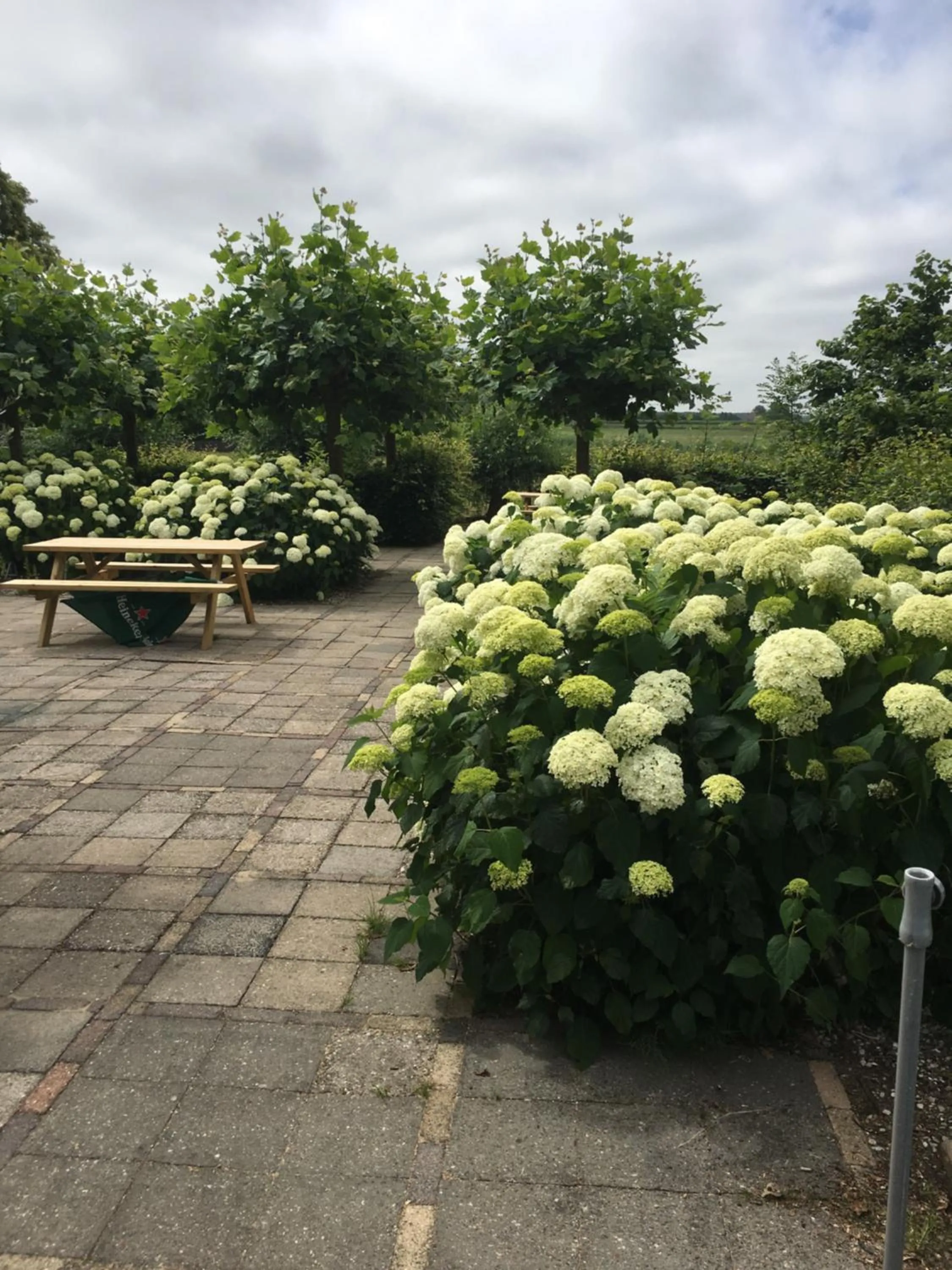 Garden in 't Wapen van Middelie