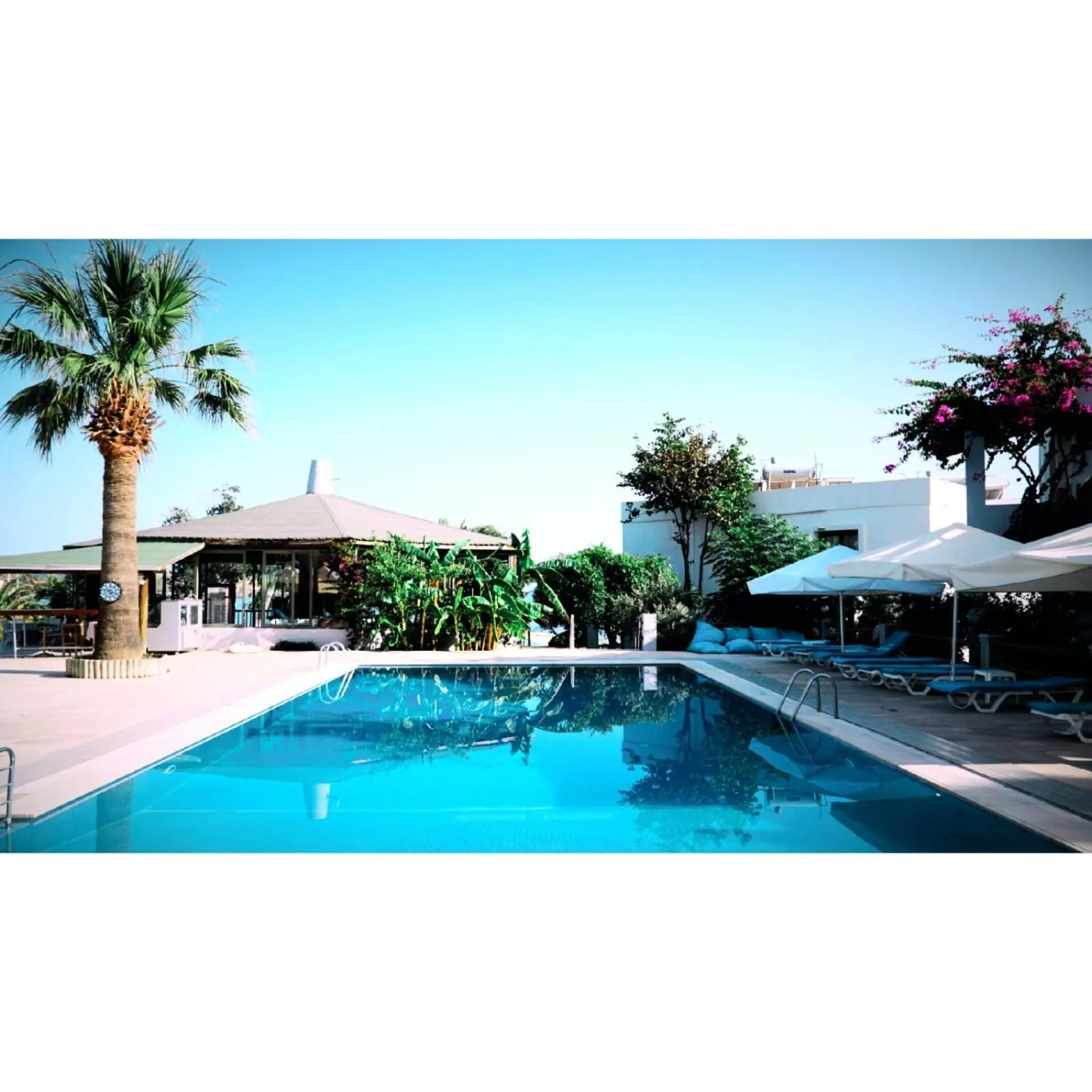 Restaurant/places to eat in Gumbet Cove Hotel