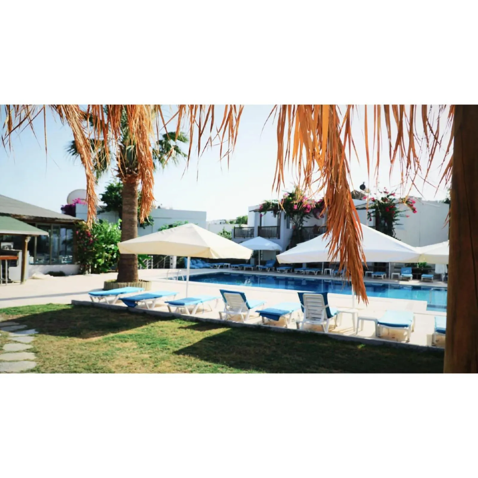 Swimming pool in Gumbet Cove Hotel