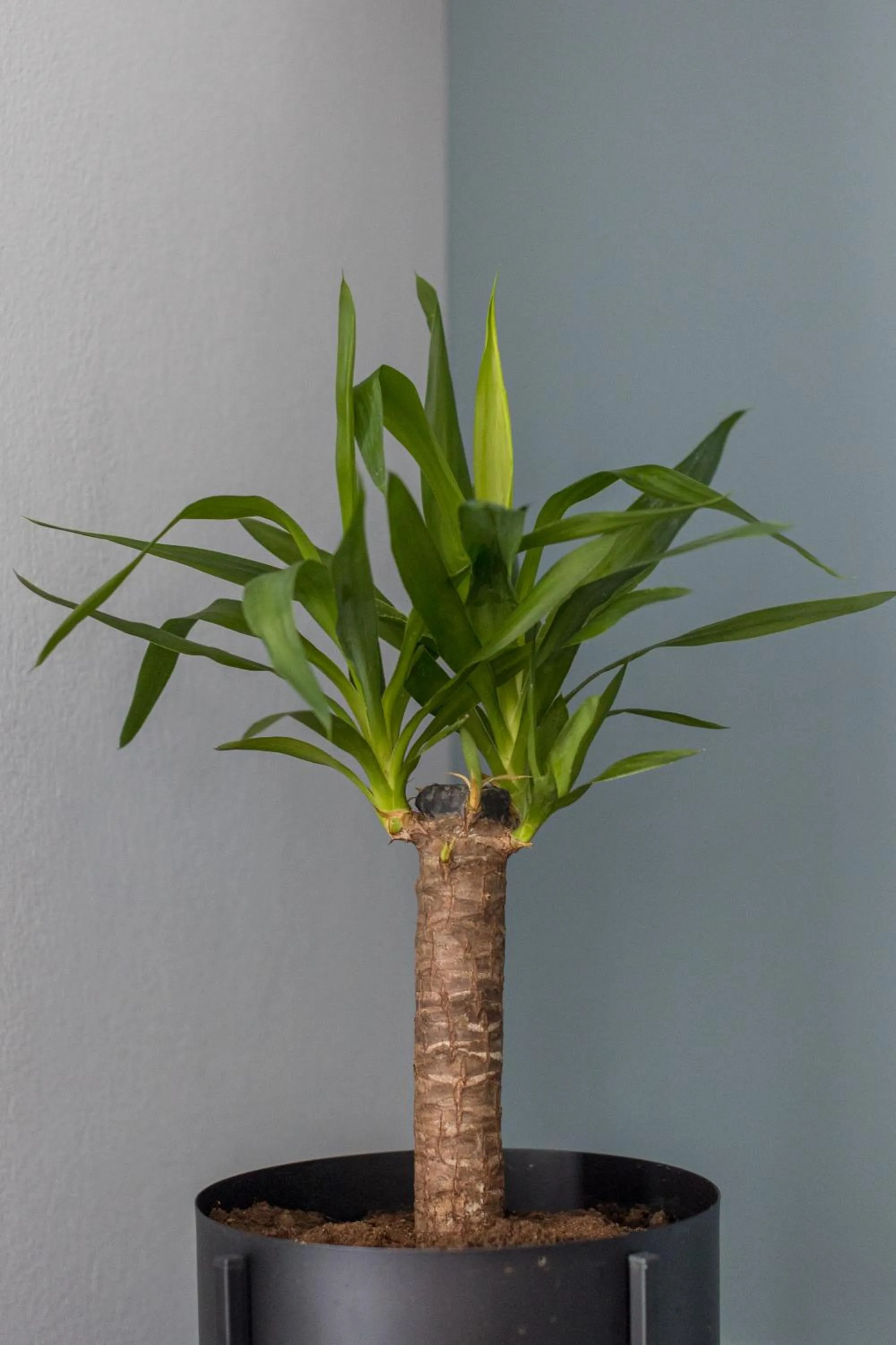 Living room in THE URBANIST •inner city residences•