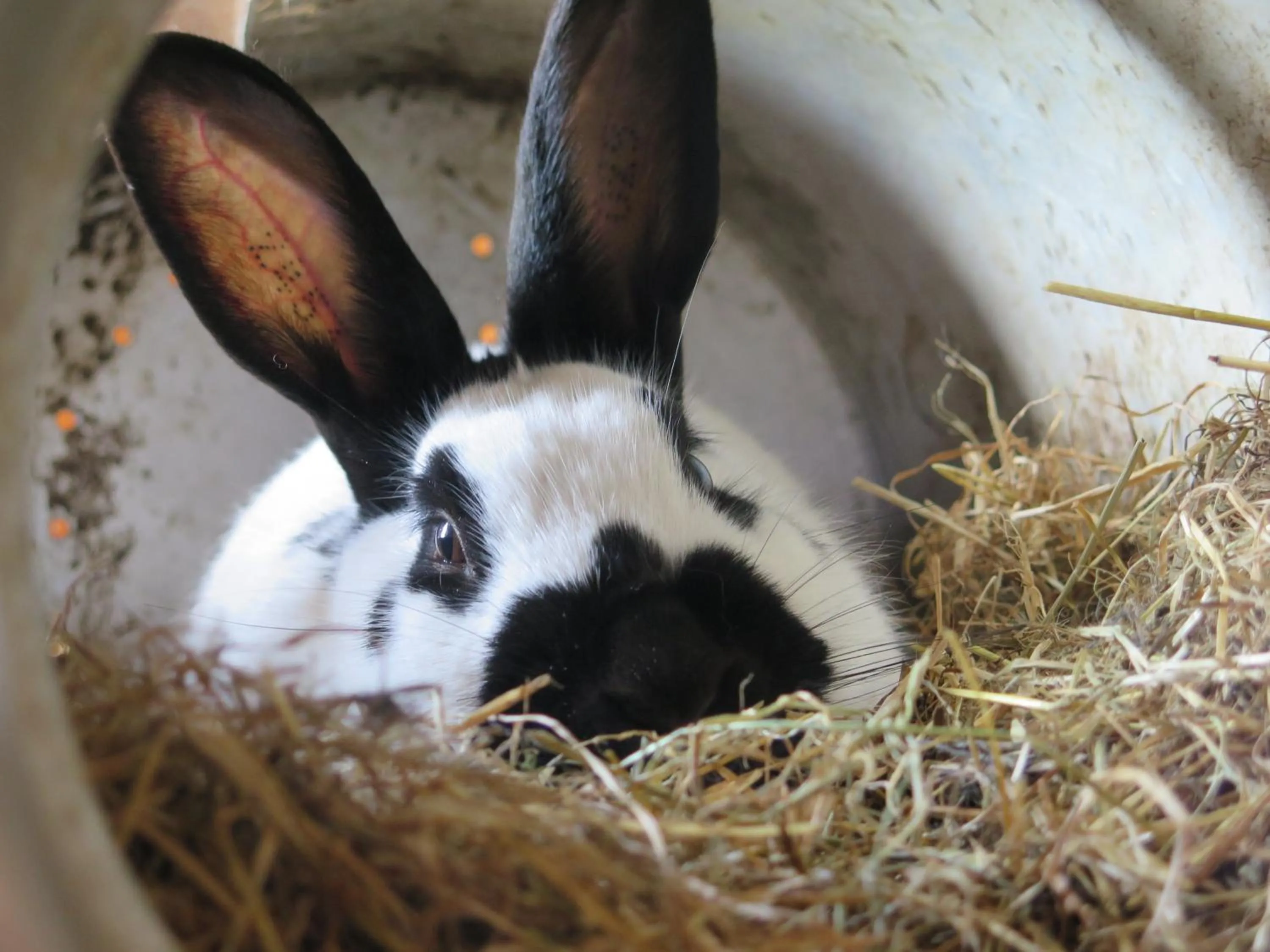 Children play ground in Nymarksminde