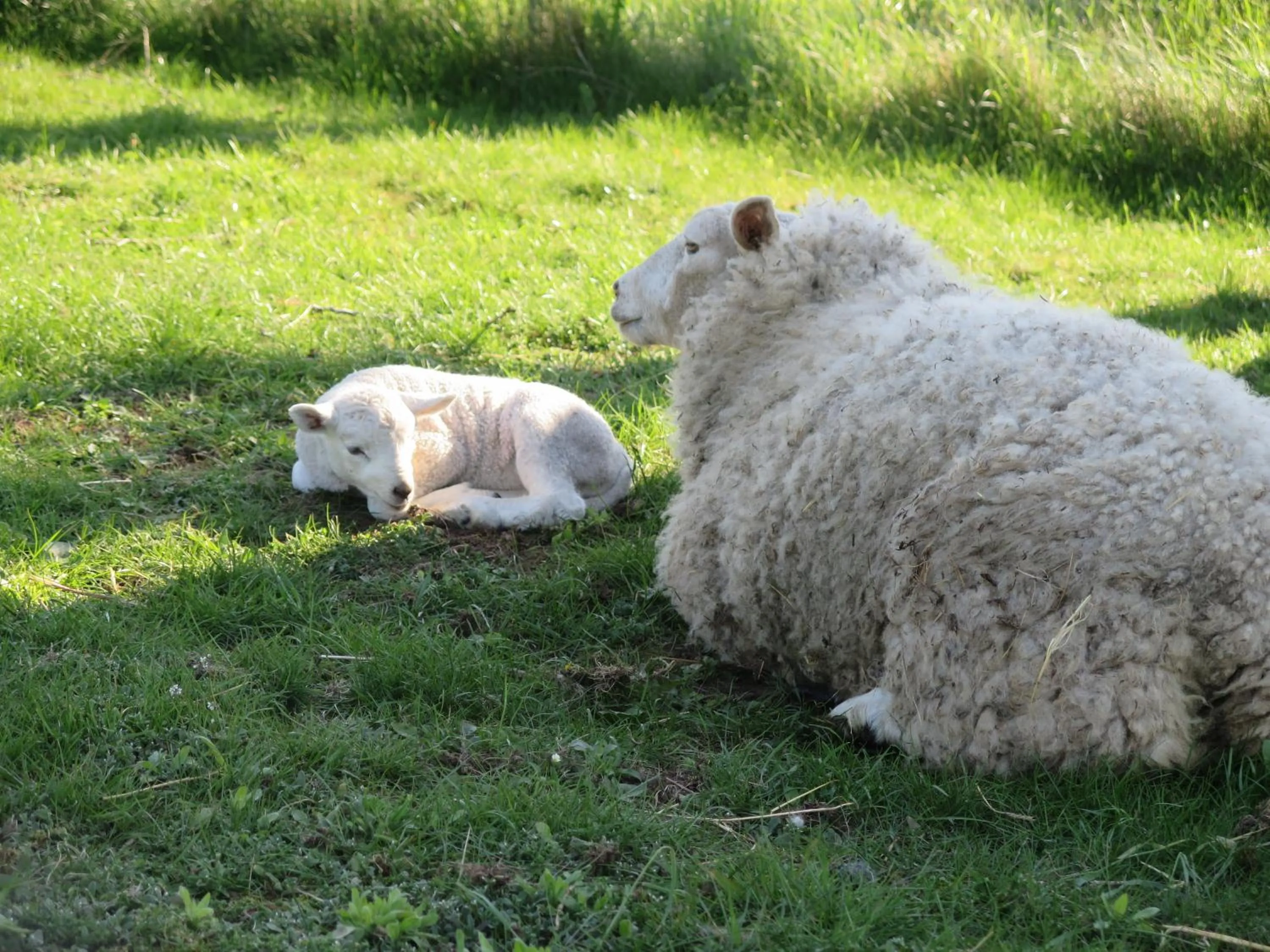 Children play ground in Nymarksminde