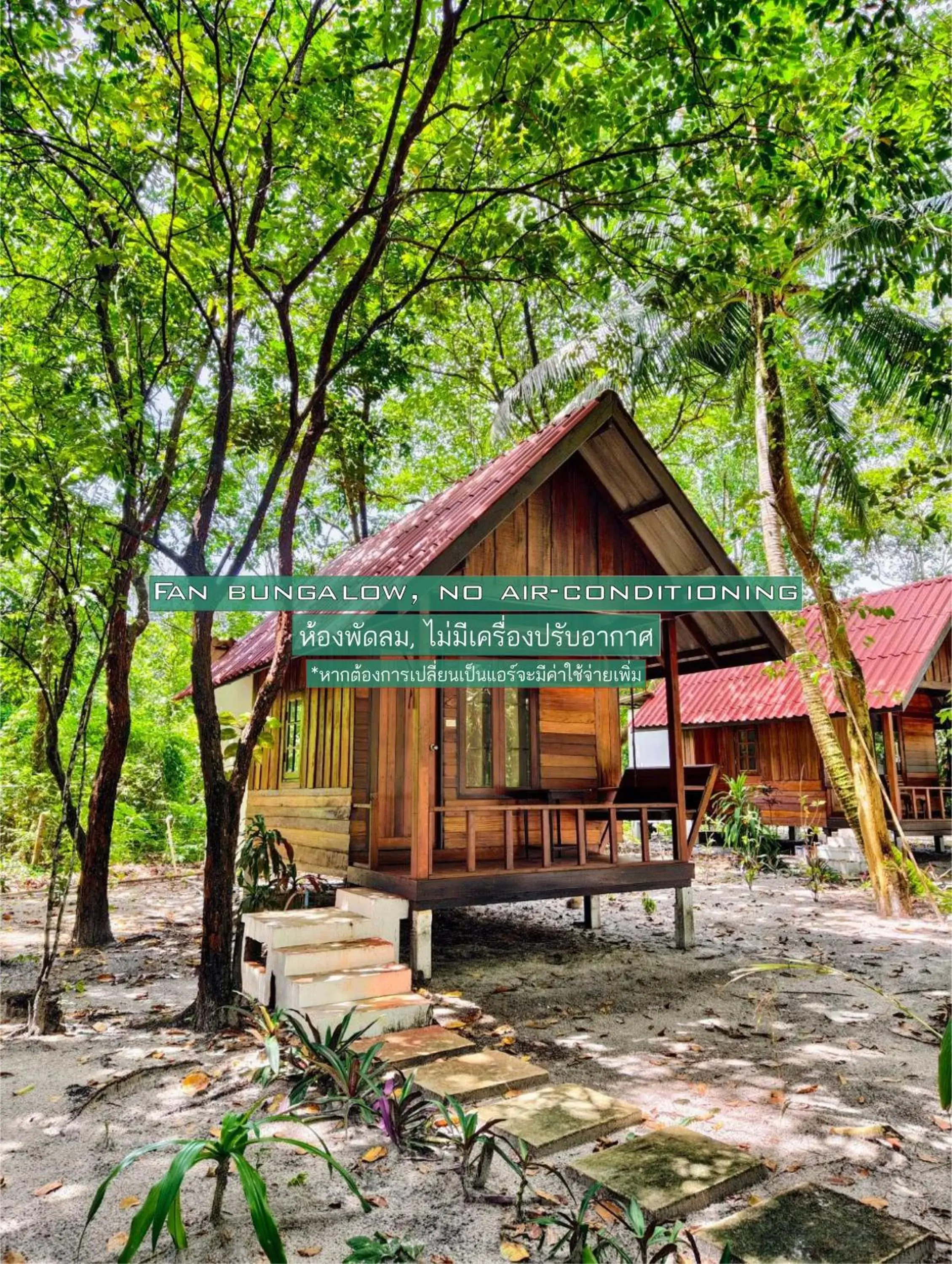 Bungalow with Fan in Ziggy Stardust Bungalow with Fan in Ziggy Stardust