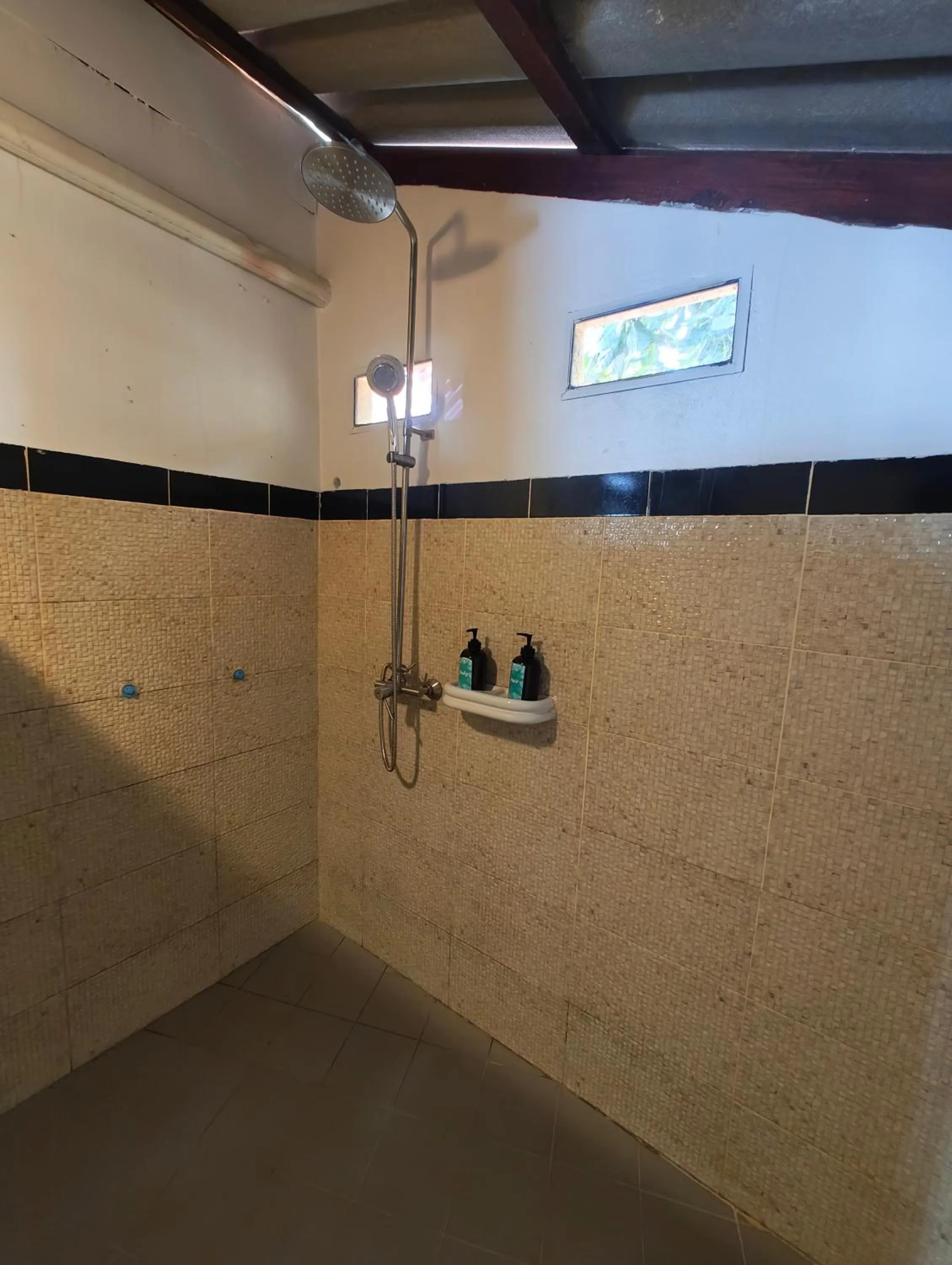 Shower in Ziggy Stardust