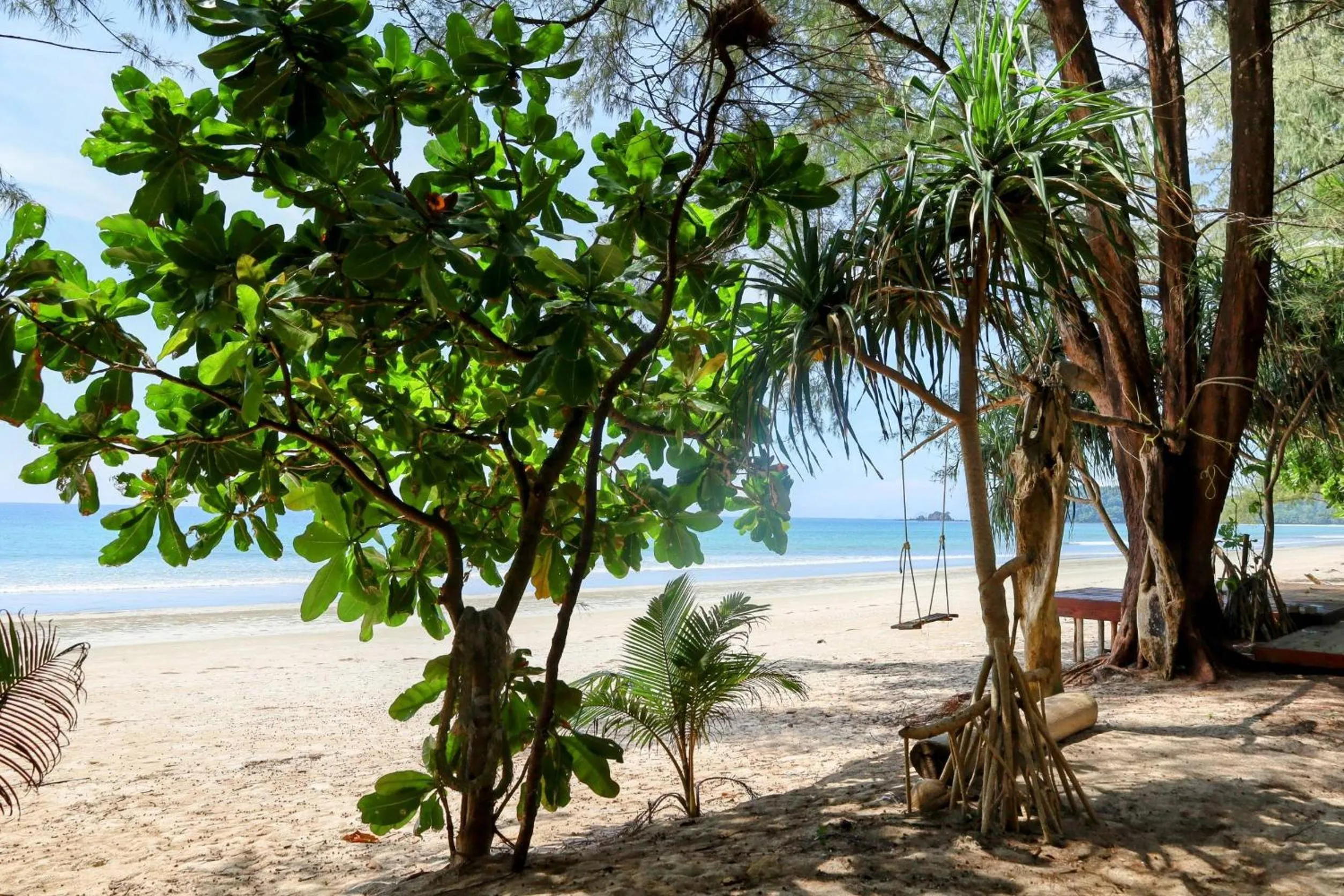 Day in Ziggy Stardust