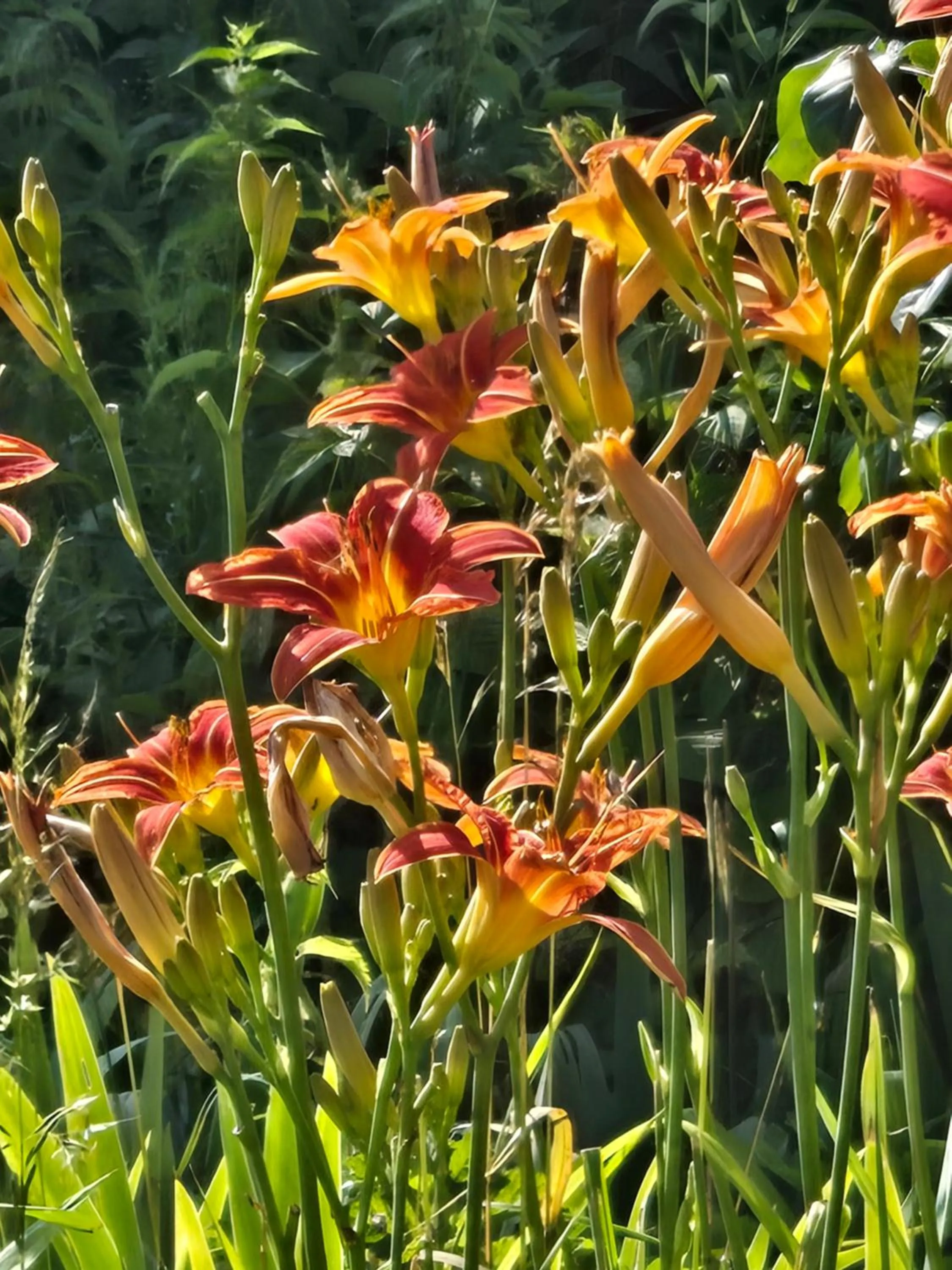 View (from property/room) in L'orée des 3 Rivières