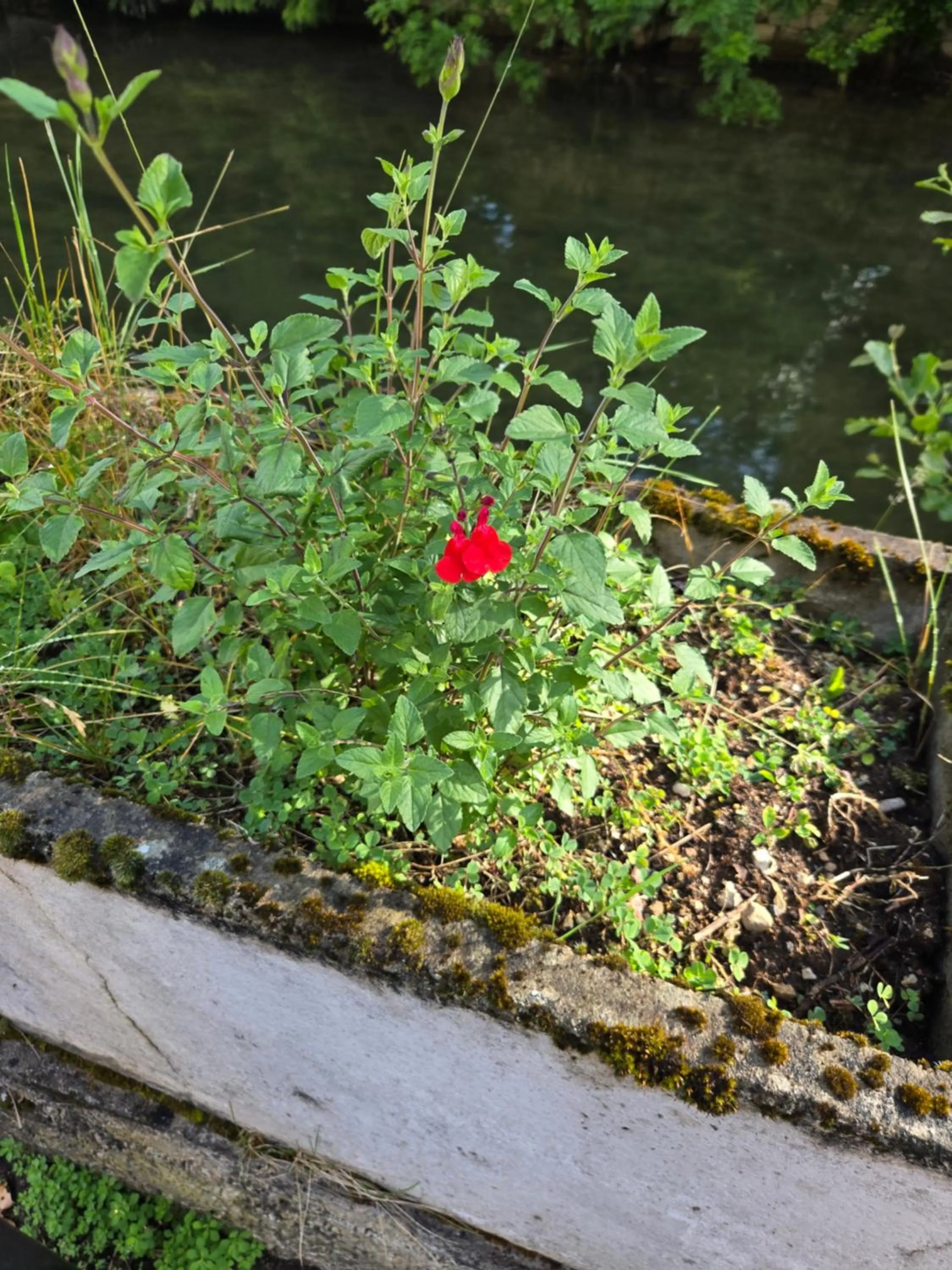 View (from property/room) in L'orée des 3 Rivières