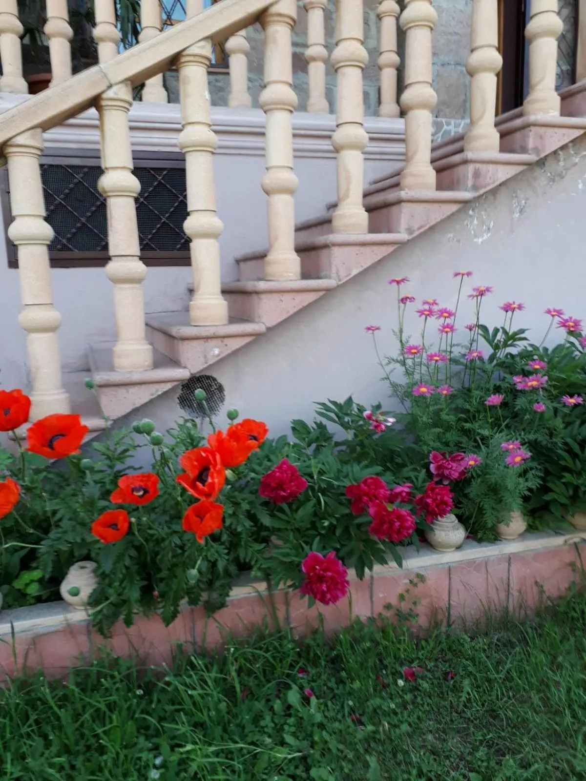 Max Hotel Gogi Alibegashvili