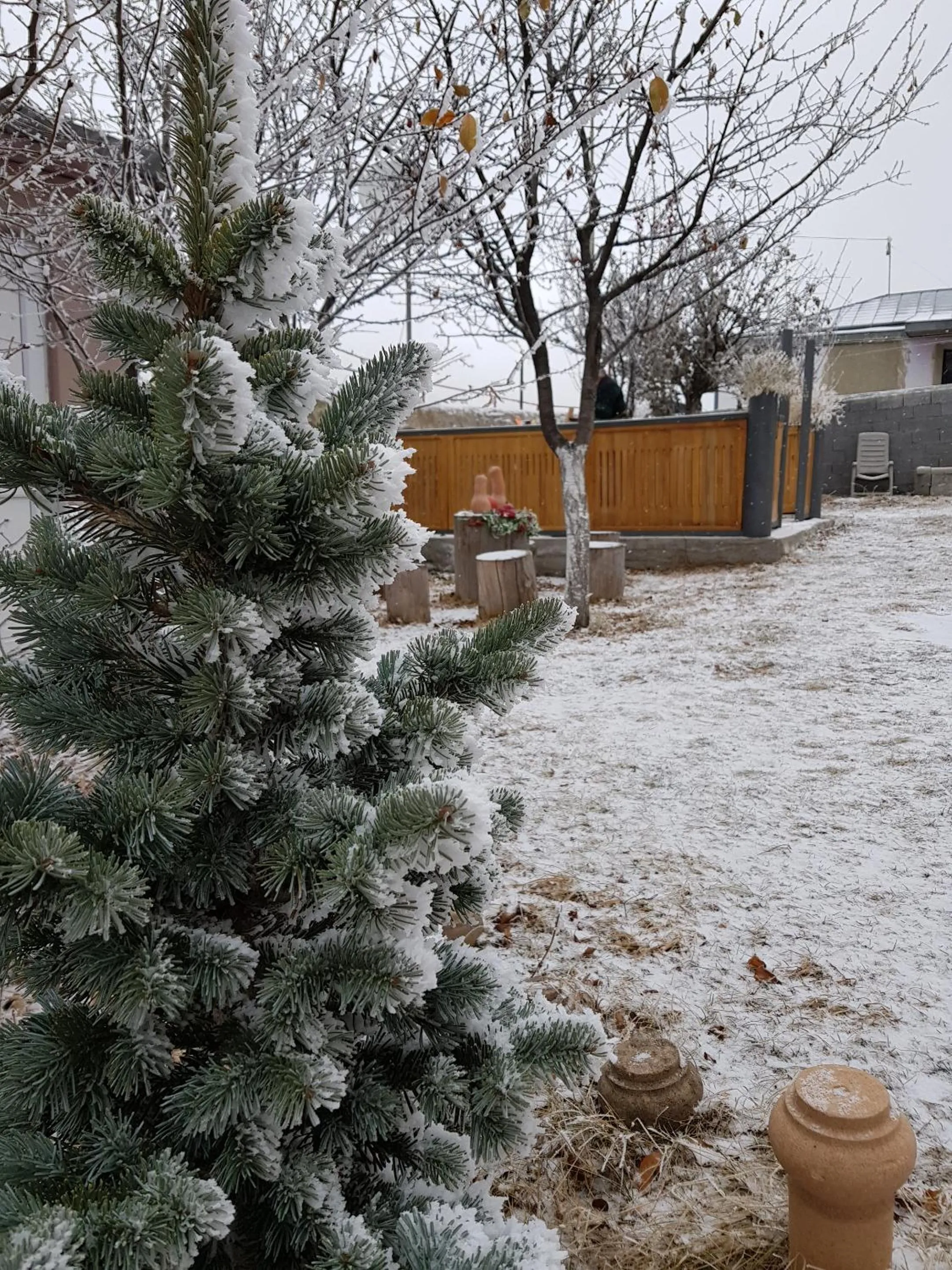 Max Hotel Gogi Alibegashvili