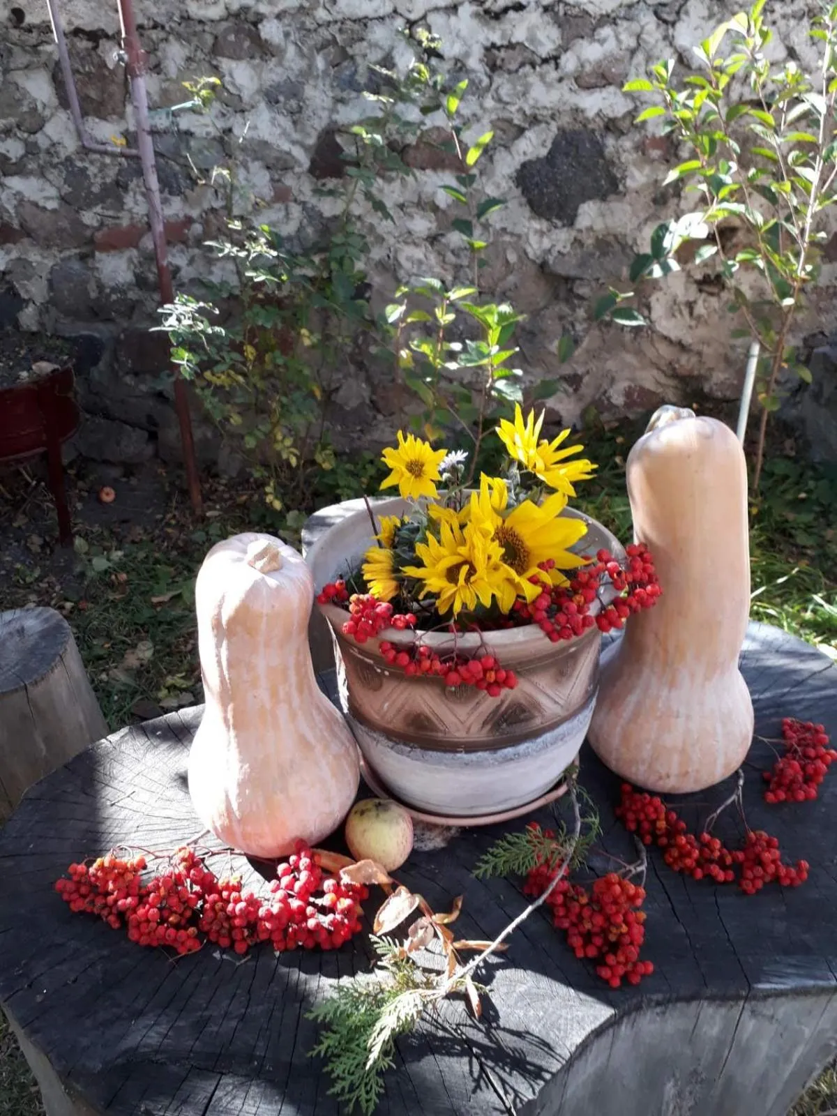 Max Hotel Gogi Alibegashvili