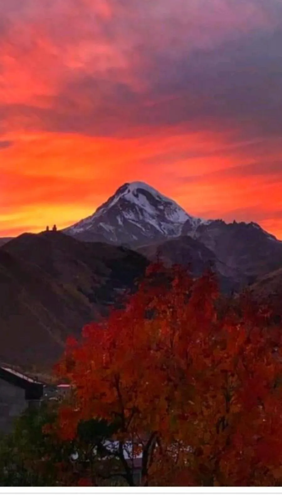 Max Hotel Gogi Alibegashvili