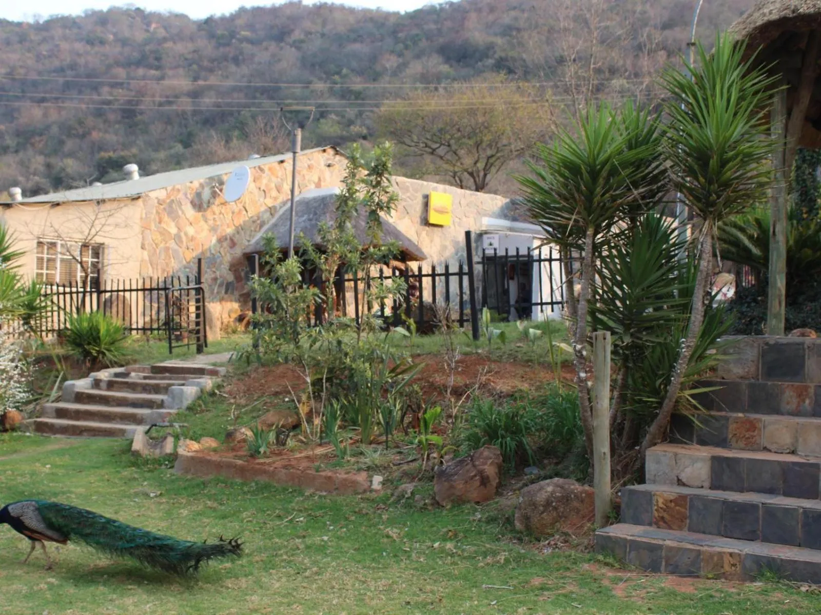 Property building in Emahlathini Guest Farm