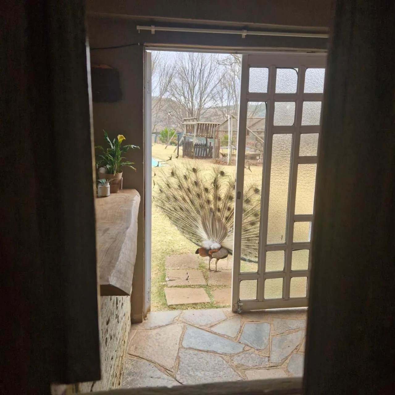 Emahlathini Guest Farm