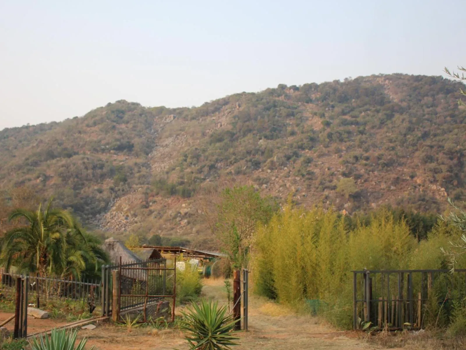 View (from property/room) in Emahlathini Guest Farm