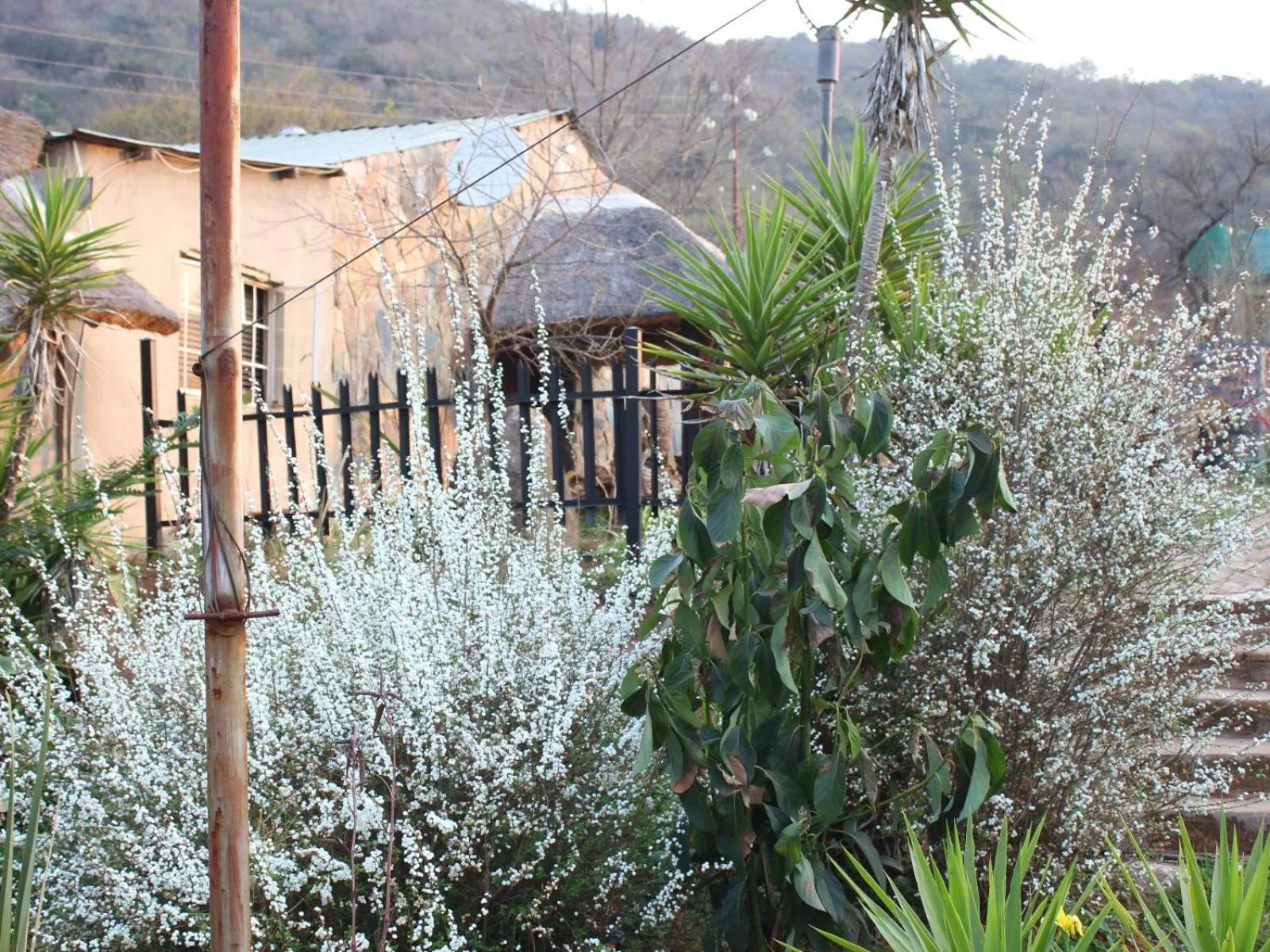 Property building in Emahlathini Guest Farm
