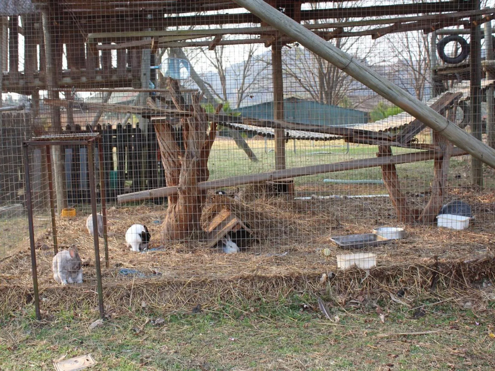 View (from property/room) in Emahlathini Guest Farm