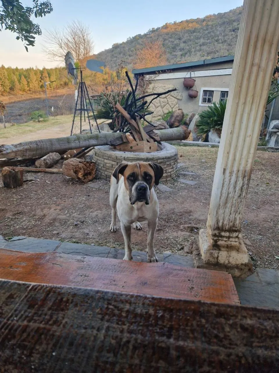 Emahlathini Guest Farm