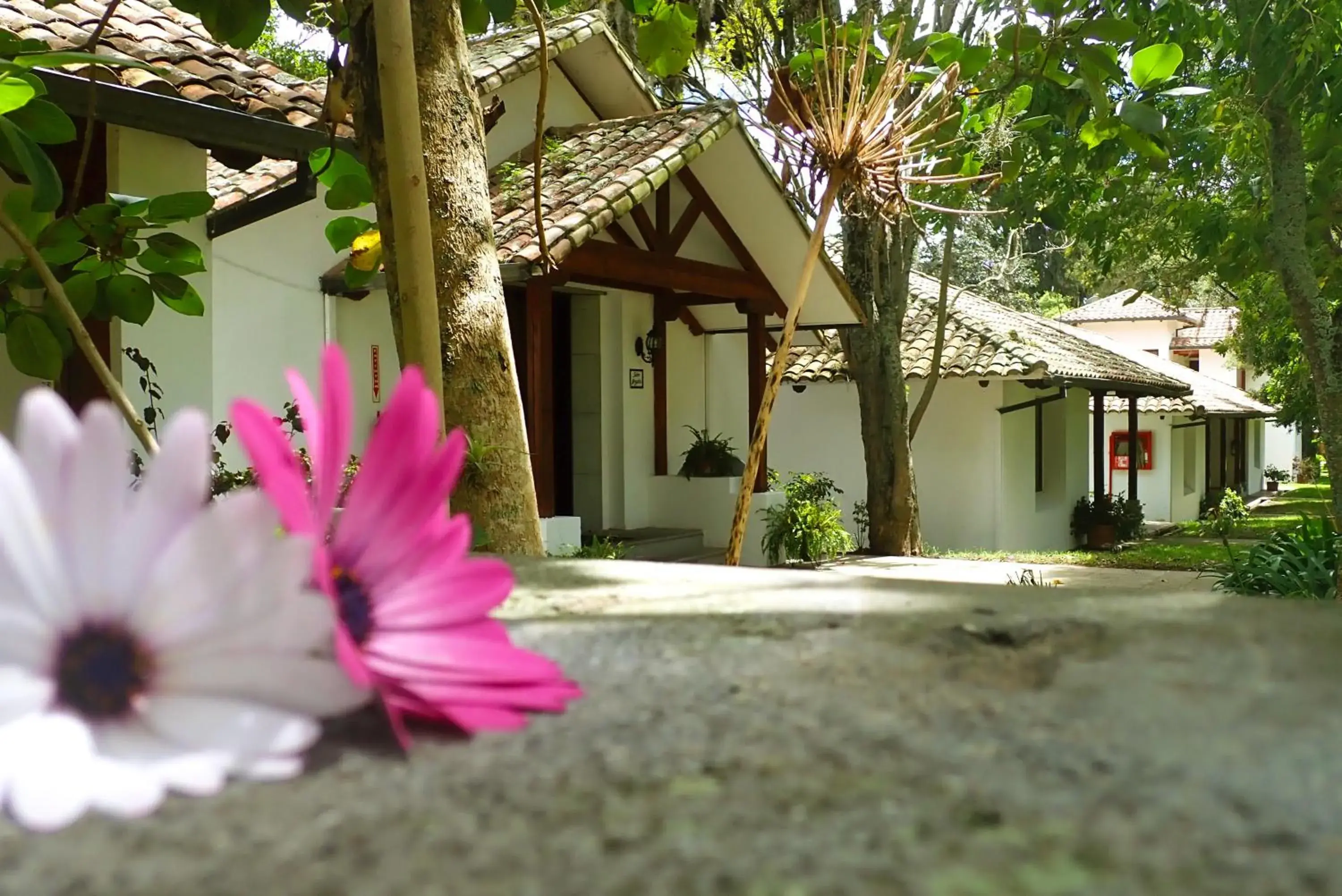 Two-Bedroom House in San Jose de Puembo Quito Airport, an Ascend Collection Hotel Two-Bedroom House in San Jose de Puembo Quito Airport, an Ascend Collection Hotel