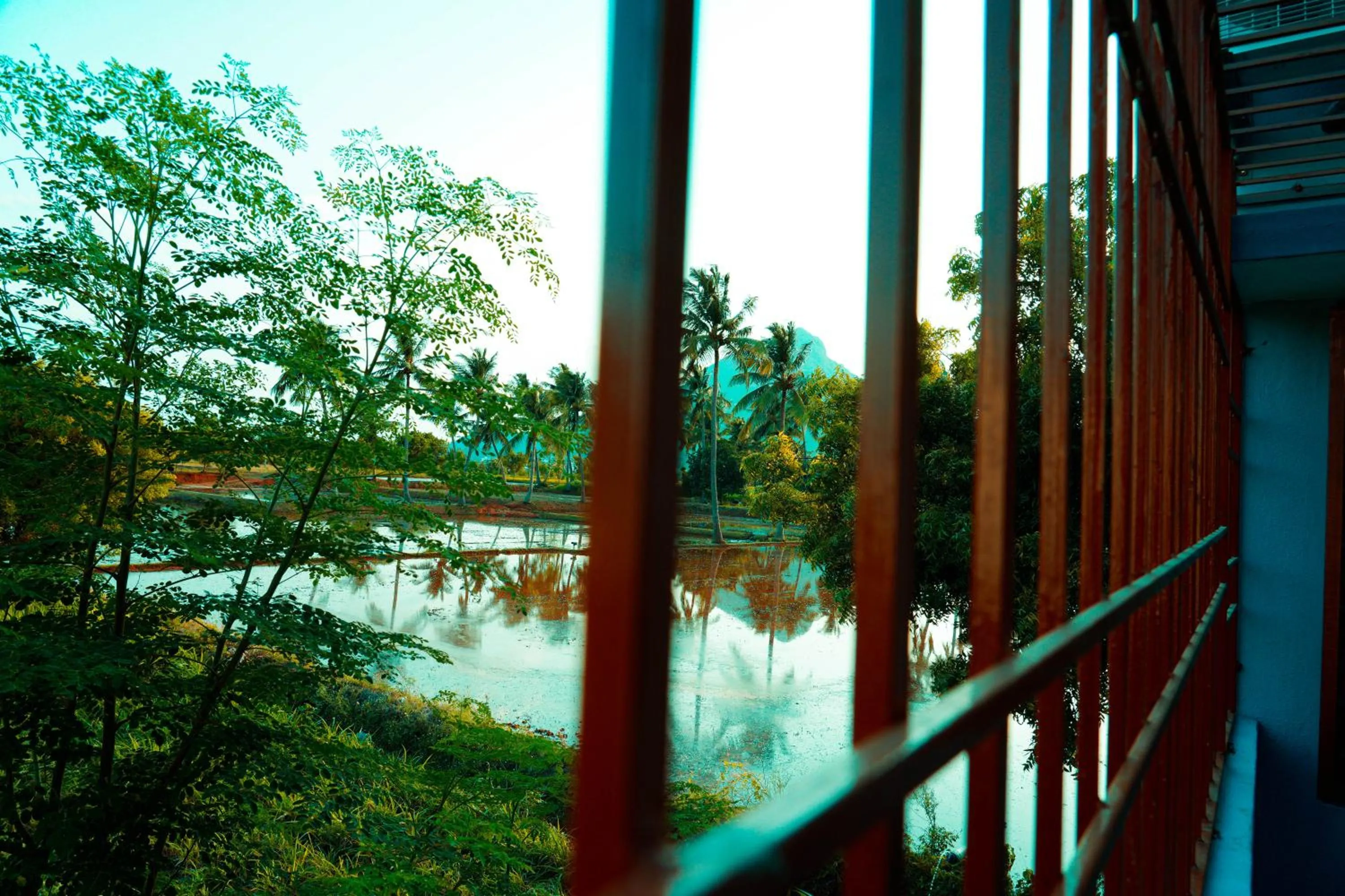 Natural landscape in Sri Sakthi Residence