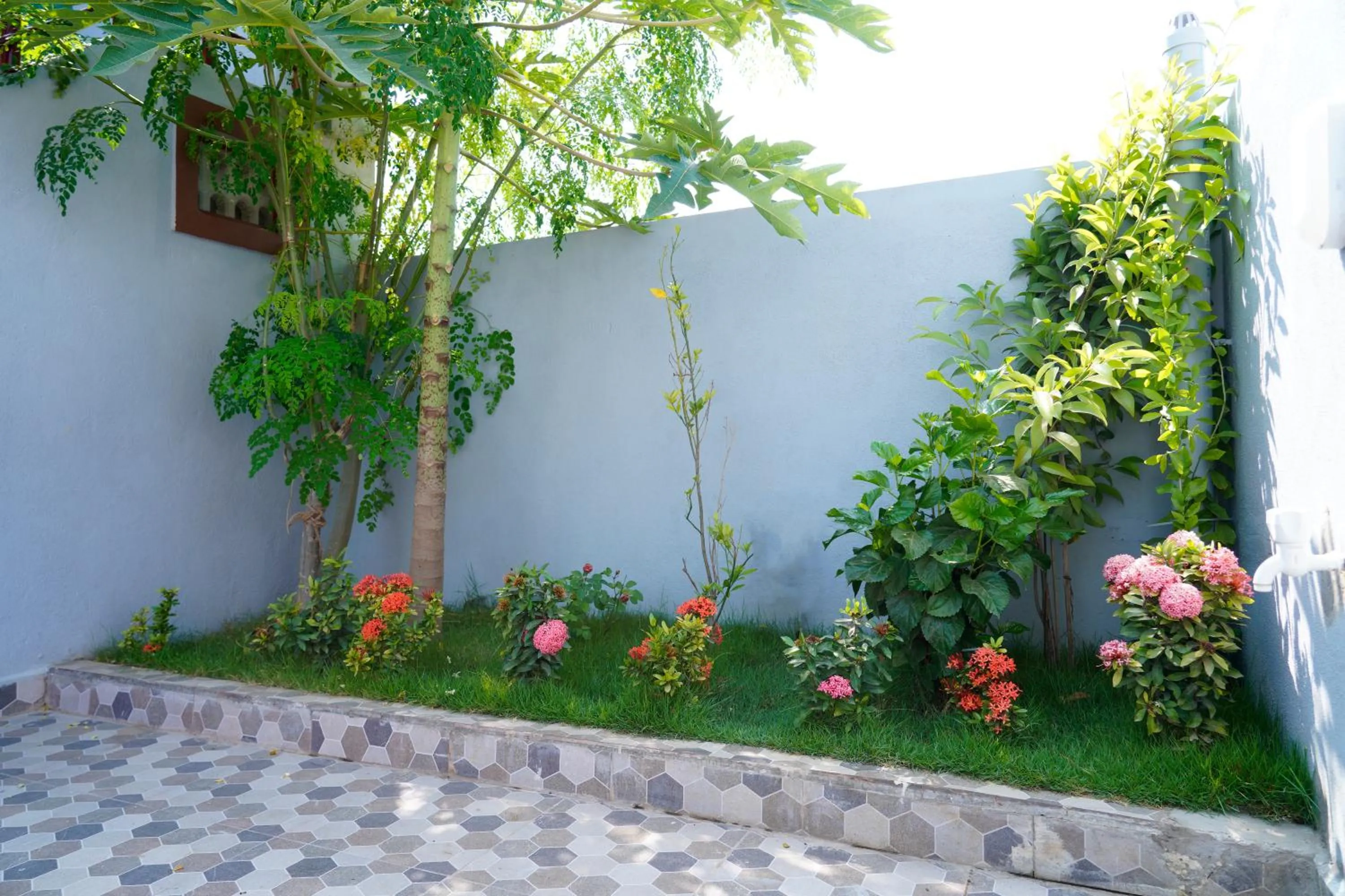 Garden in Sri Sakthi Residence